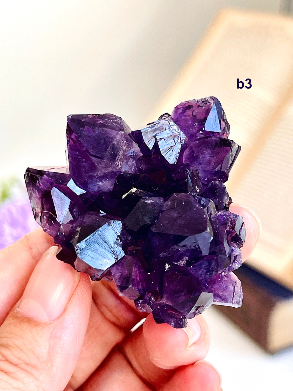 AAAAA+ Uruguay Amethyst Rosette | Grape Jelly Deep Purple Amethyst Flower