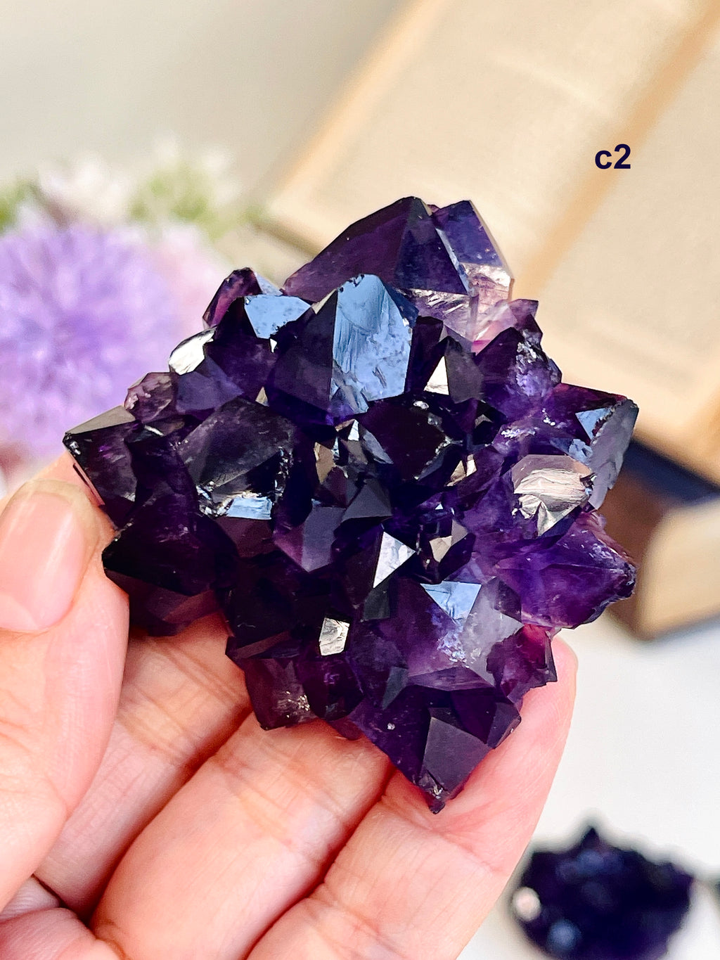 AAAAA+ Uruguay Amethyst Rosette | Grape Jelly Deep Purple Amethyst Flower