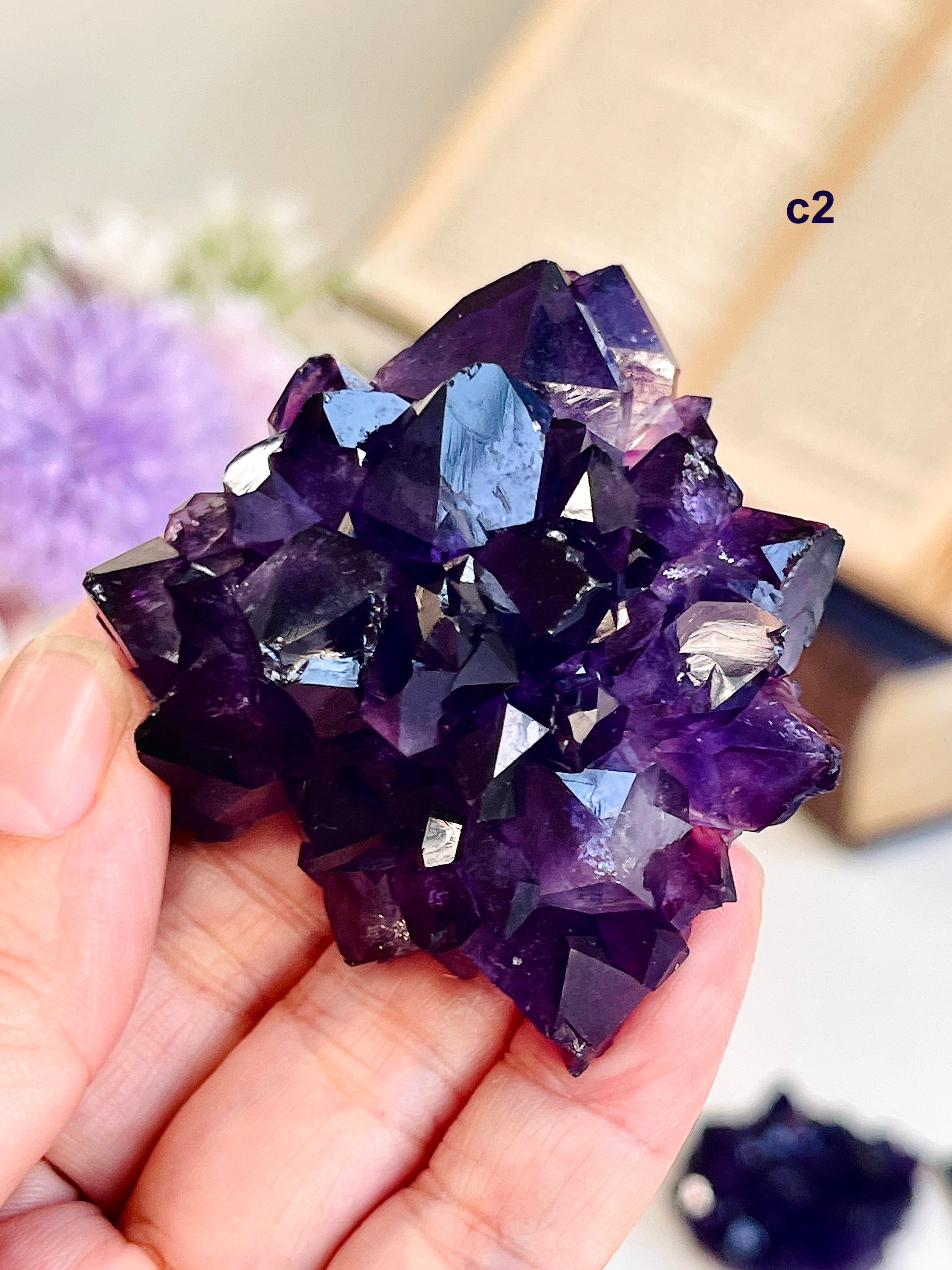 AAAAA+ Uruguay Amethyst Rosette | Grape Jelly Deep Purple Amethyst Flower