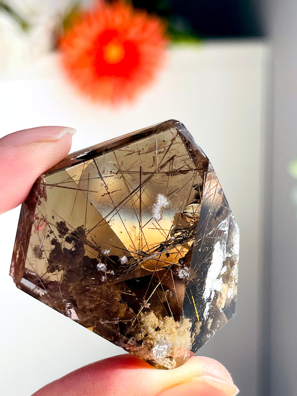 Brazilian Rutilated Smoky Quartz with Golden Rutile