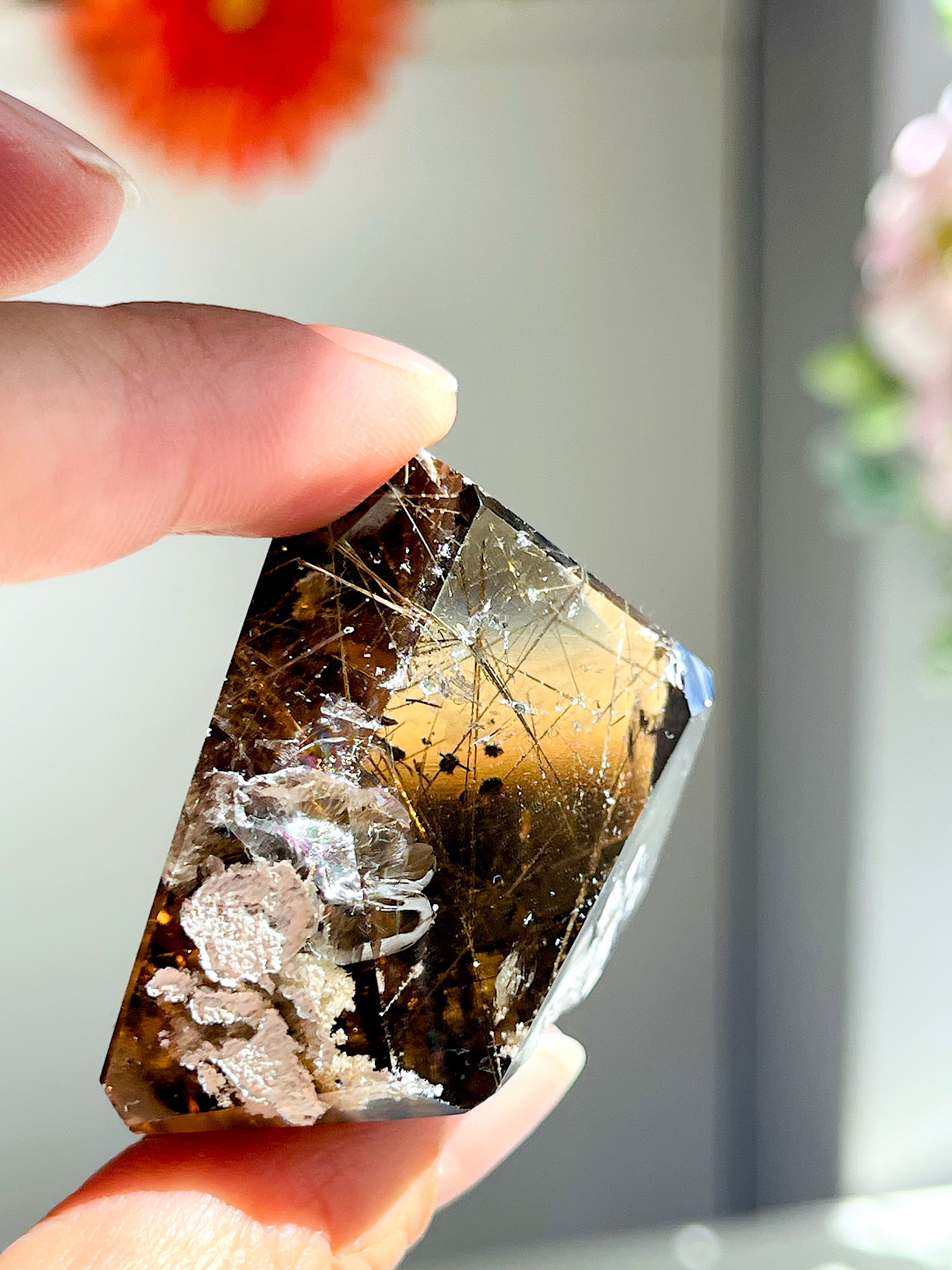 Brazilian Rutilated Smoky Quartz with Golden Rutile