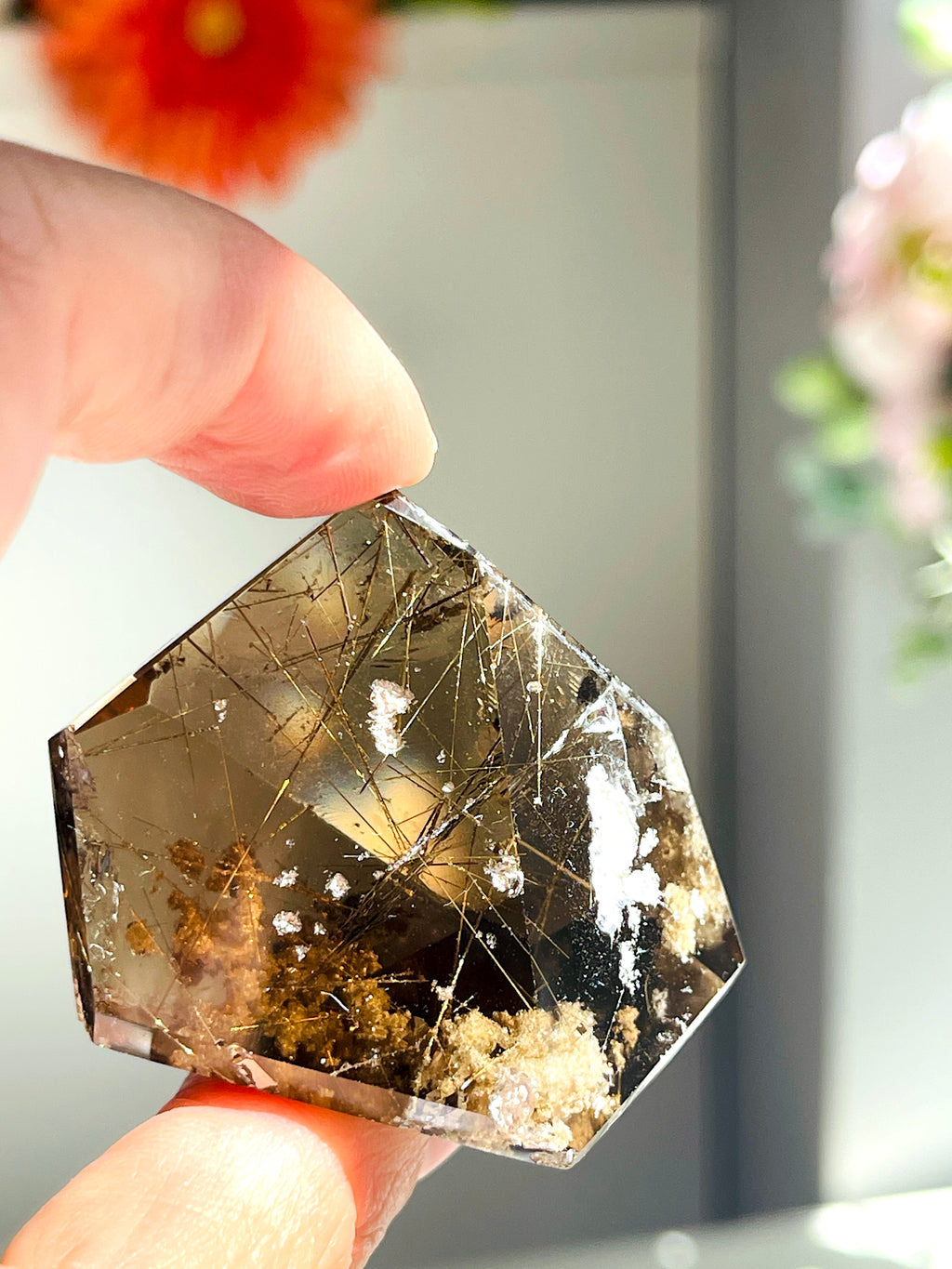 Brazilian Rutilated Smoky Quartz with Golden Rutile