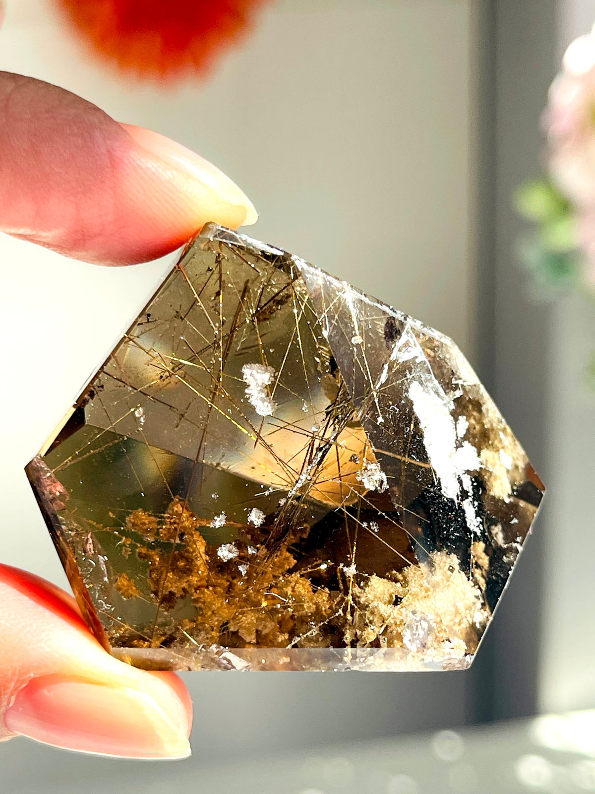 Brazilian Rutilated Smoky Quartz with Golden Rutile