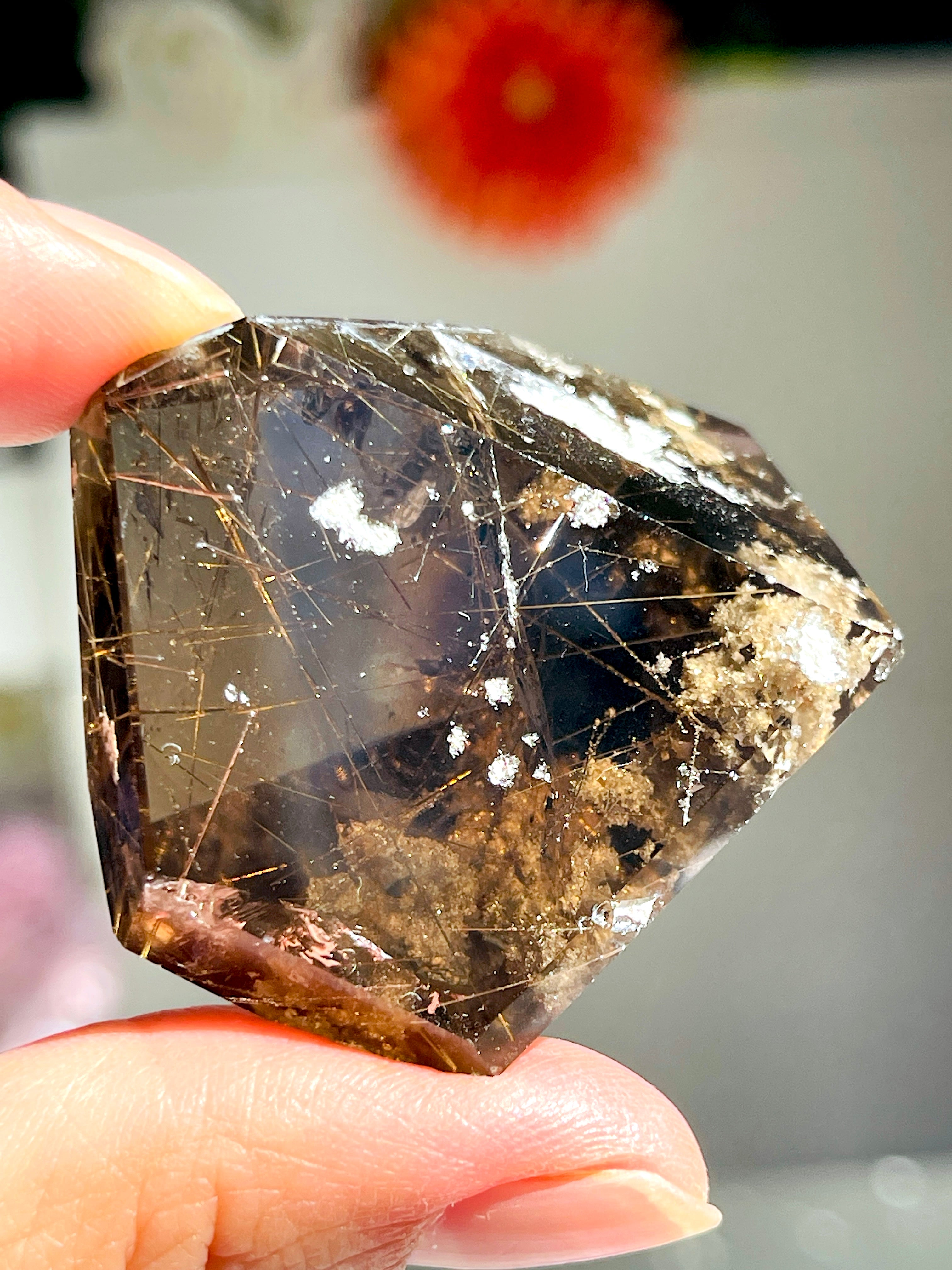 Brazilian Rutilated Smoky Quartz with Golden Rutile