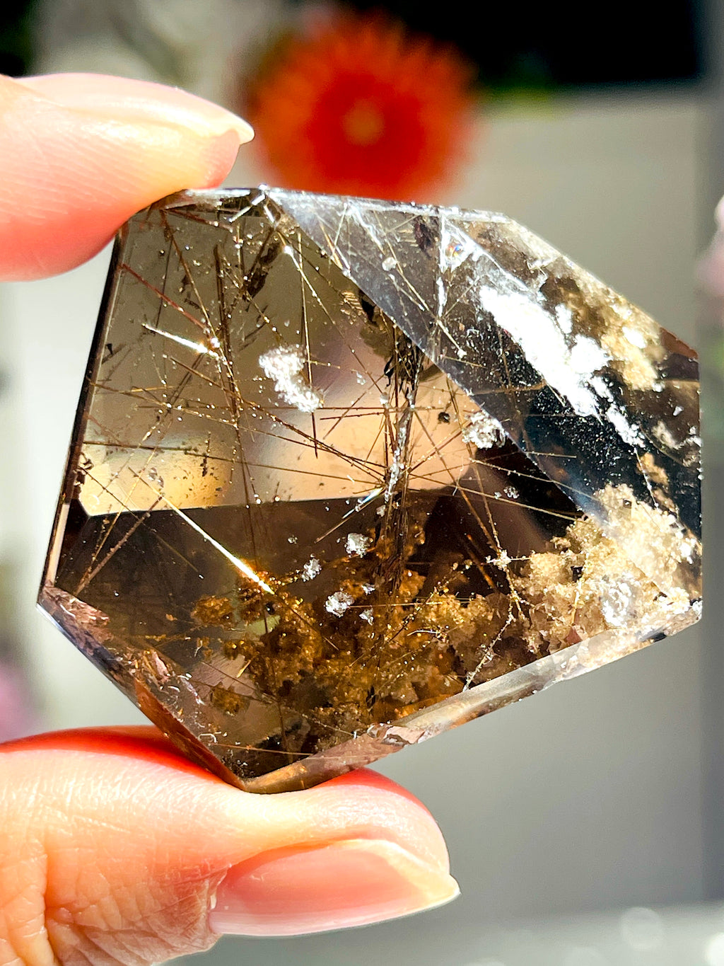 Brazilian Rutilated Smoky Quartz with Golden Rutile