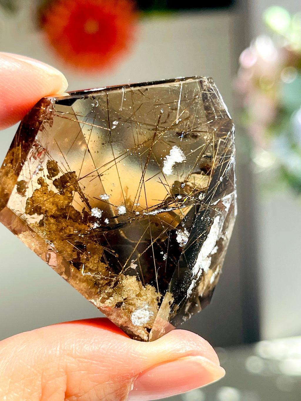 Brazilian Rutilated Smoky Quartz with Golden Rutile