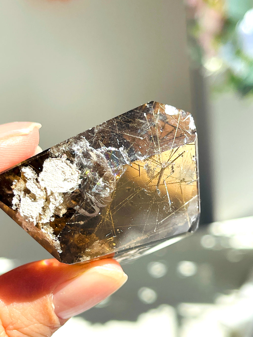 Brazilian Rutilated Smoky Quartz with Golden Rutile