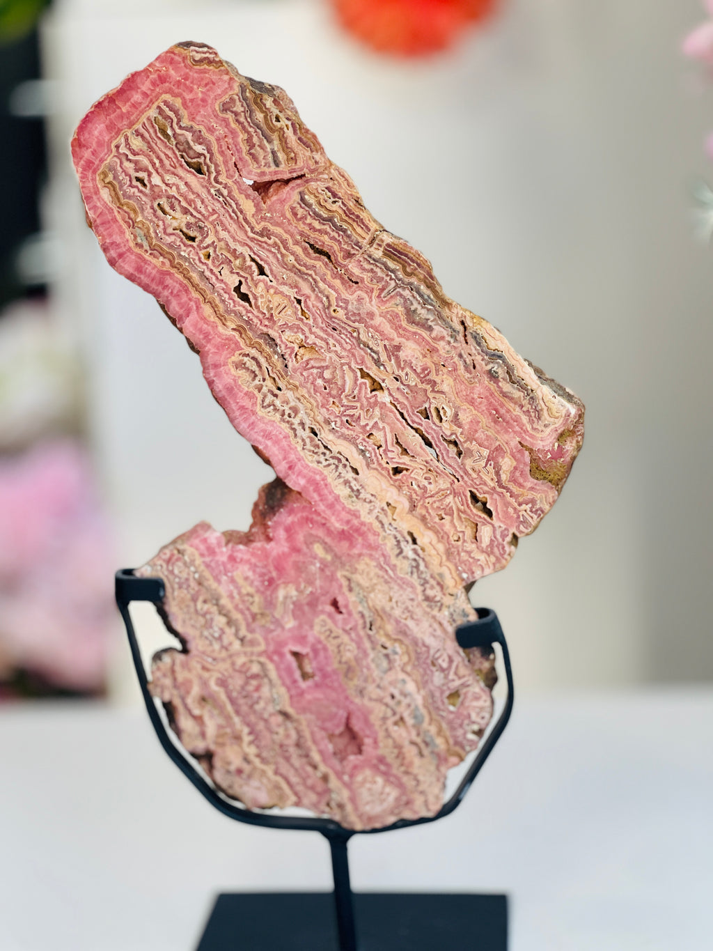 Rhodochrosite Slab – Capillitas Argentina | Polished Collector Specimen