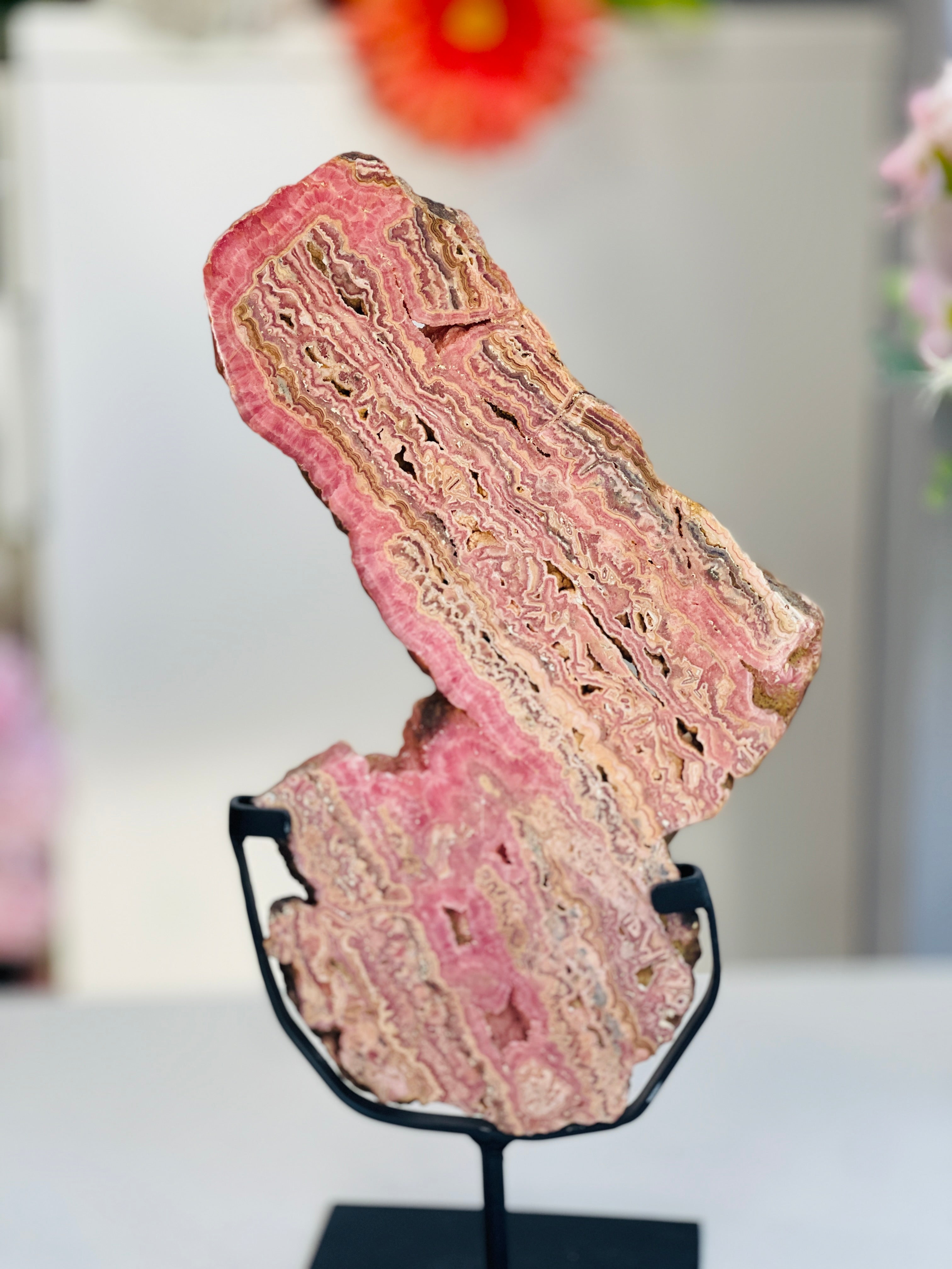 Rhodochrosite Slab – Capillitas Argentina | Polished Collector Specimen