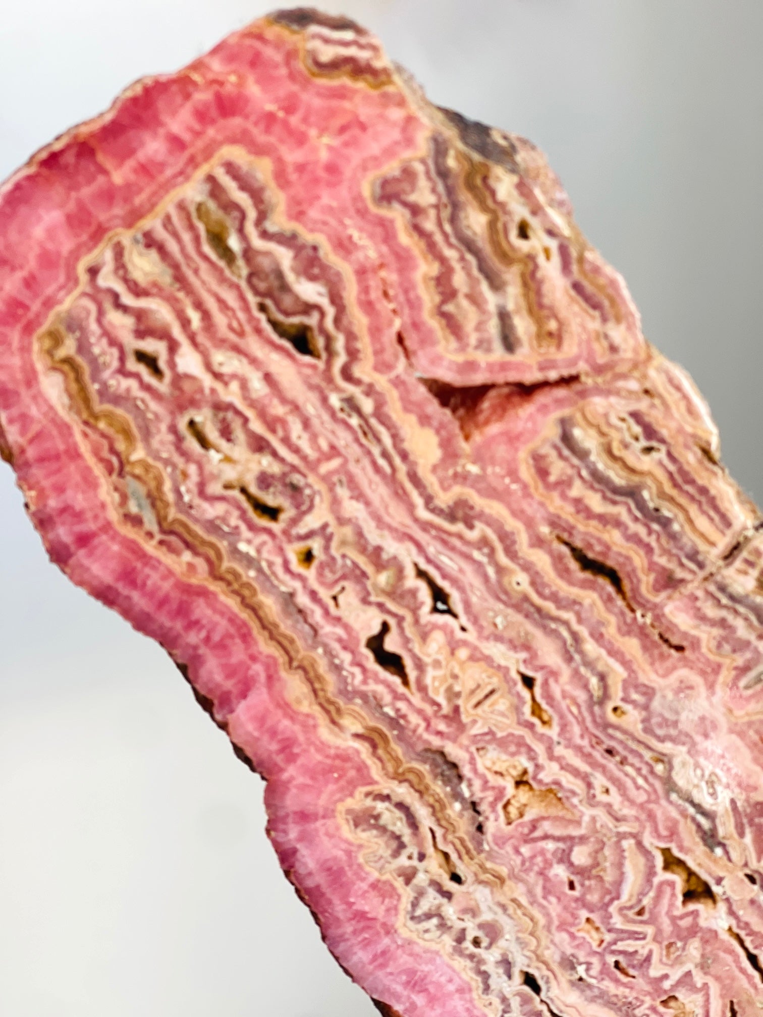 Rhodochrosite Slab – Capillitas Argentina | Polished Collector Specimen