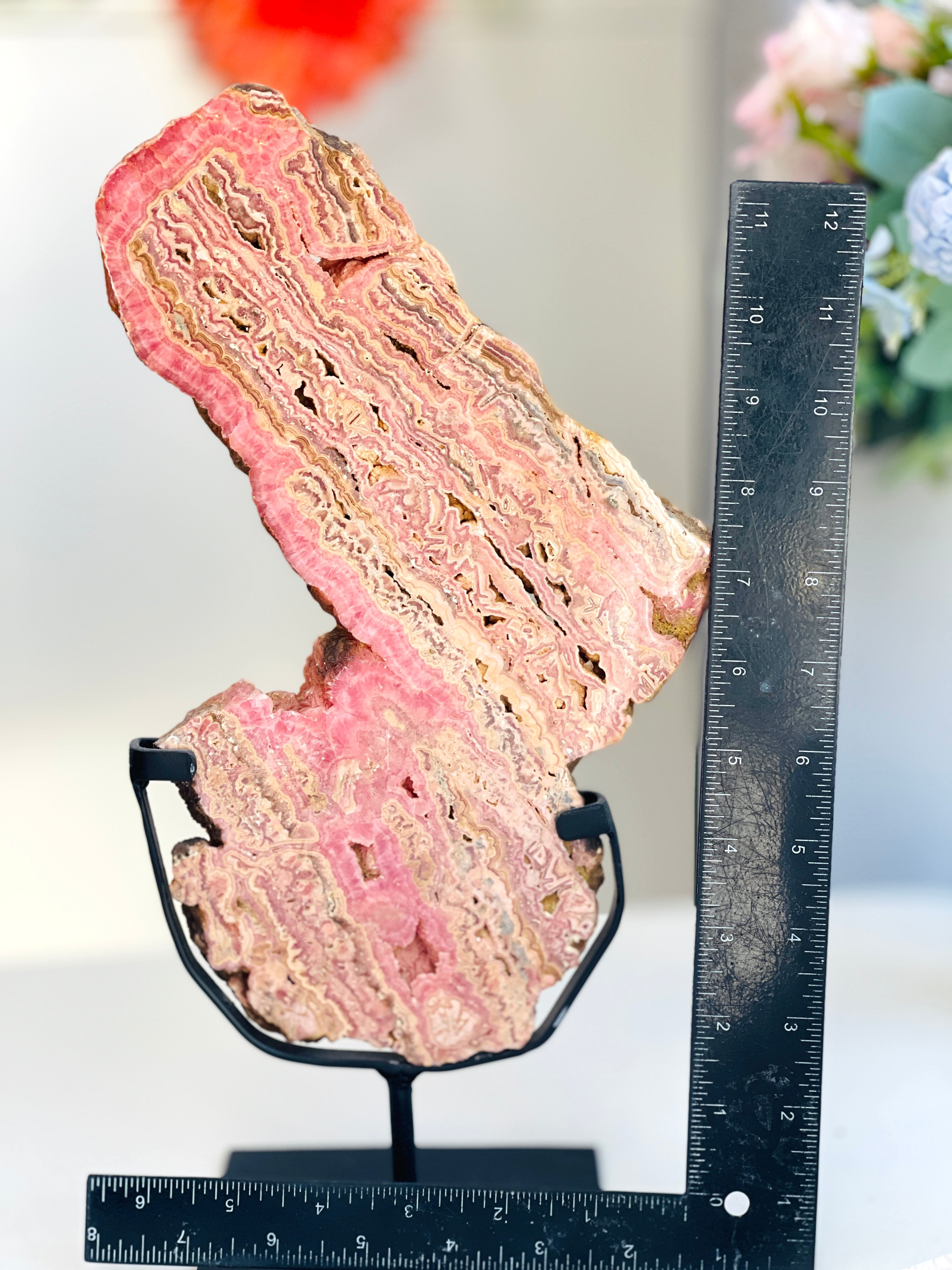 Rhodochrosite Slab – Capillitas Argentina | Polished Collector Specimen