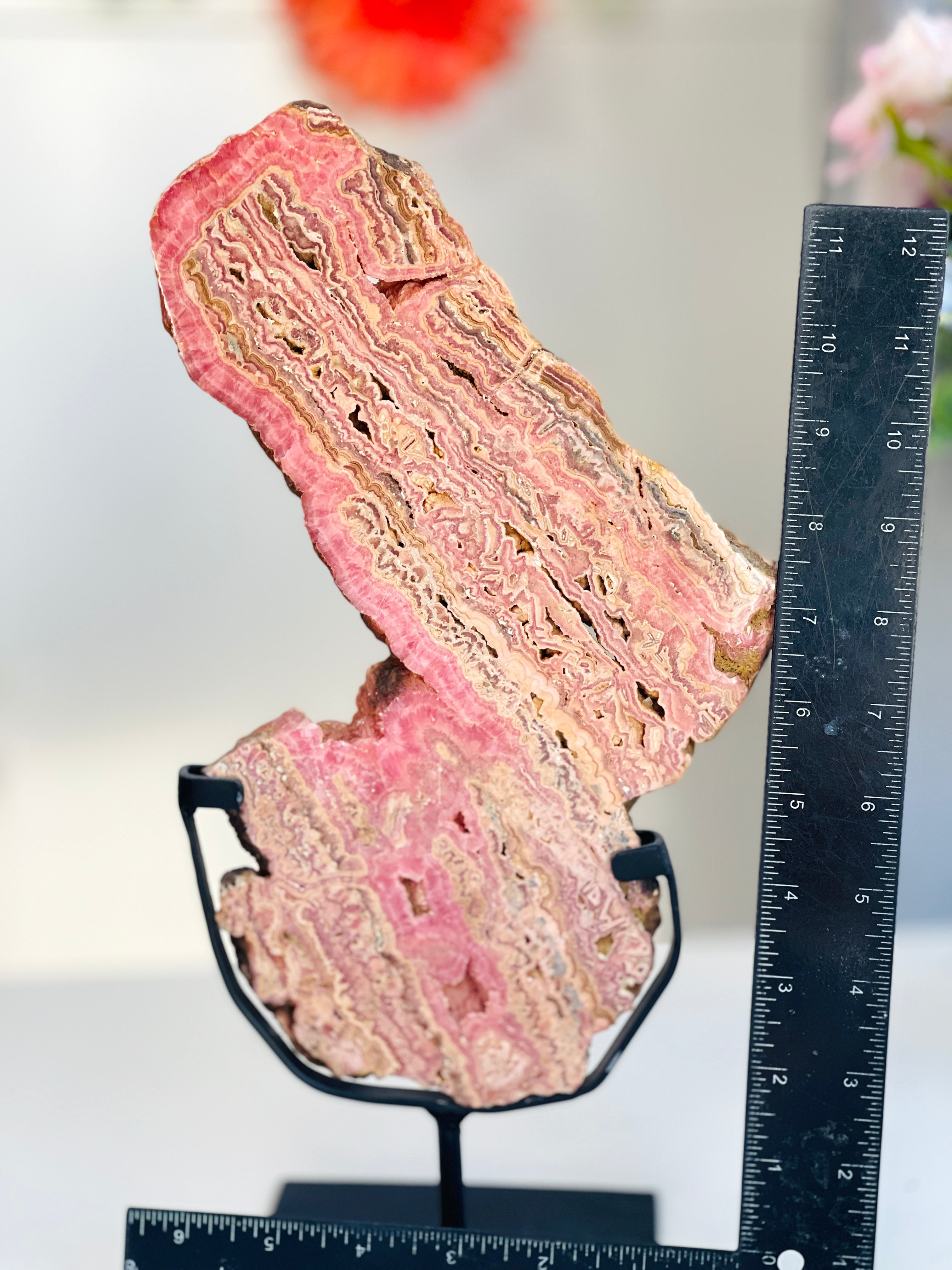 Rhodochrosite Slab – Capillitas Argentina | Polished Collector Specimen
