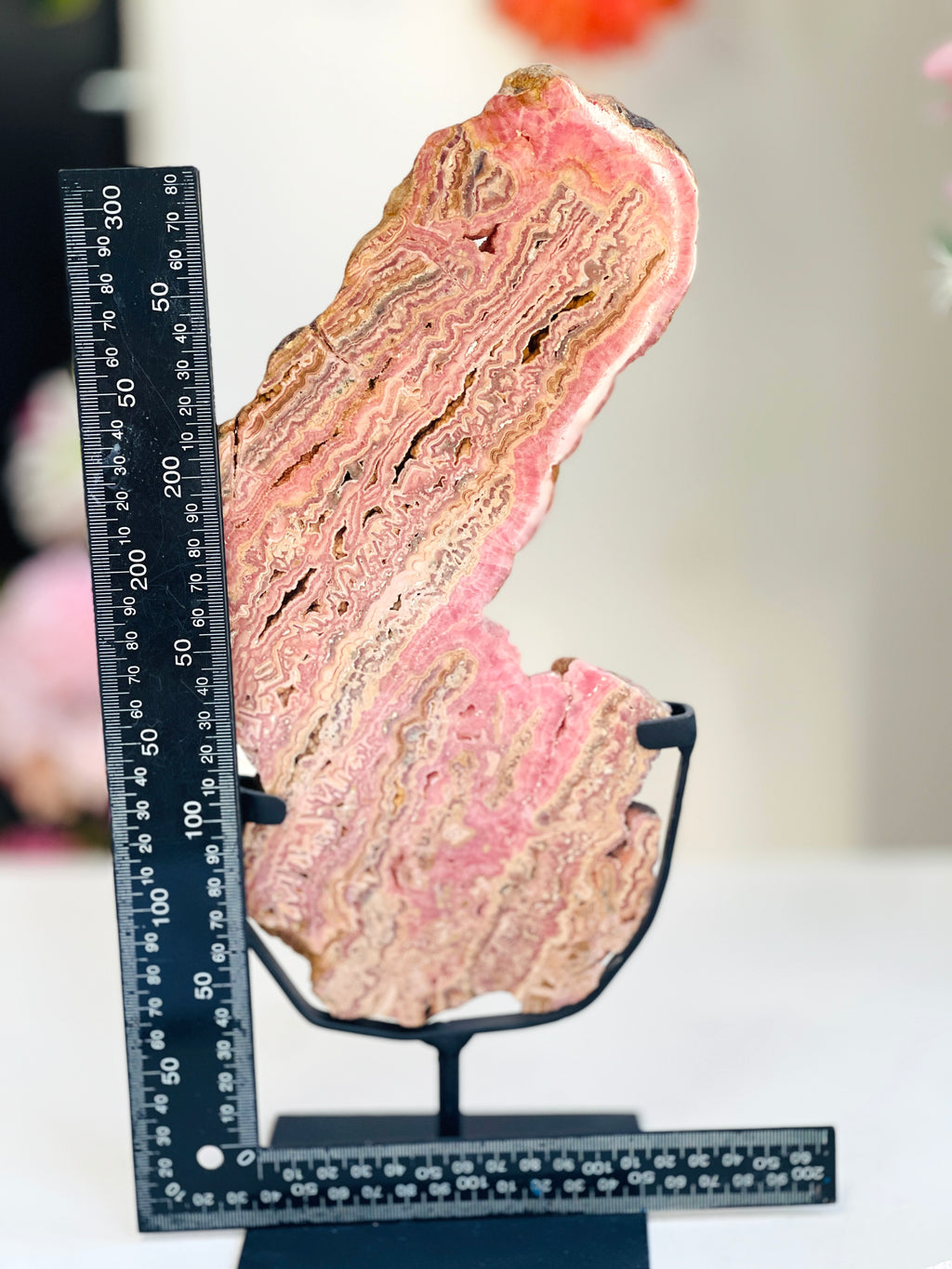 Rhodochrosite Slab – Capillitas Argentina | Polished Collector Specimen