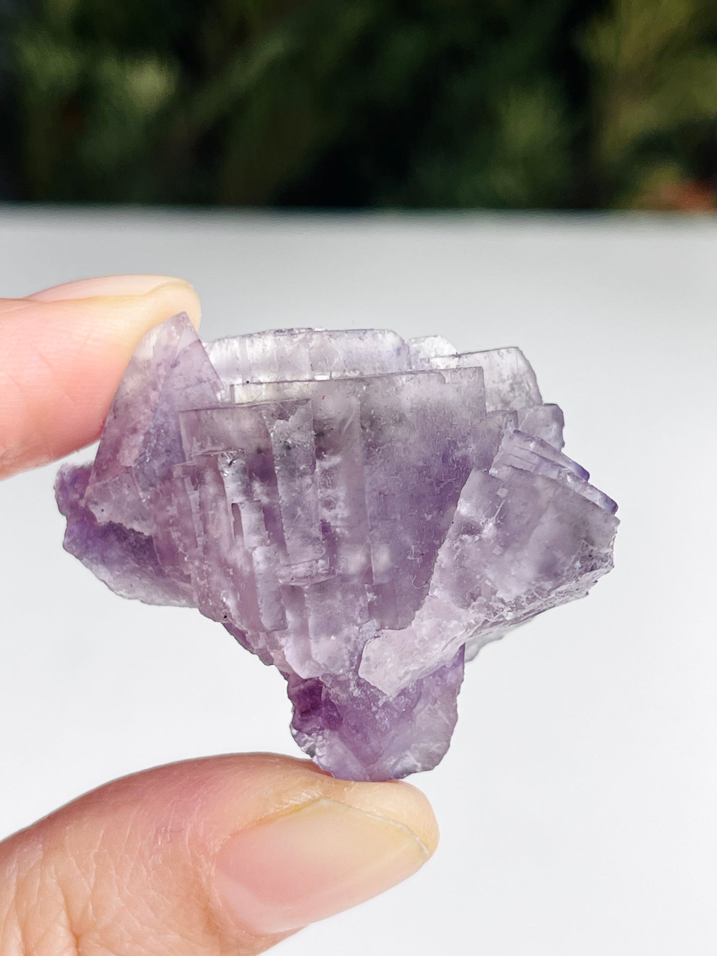 New Find Petroleum Fluorite -33g