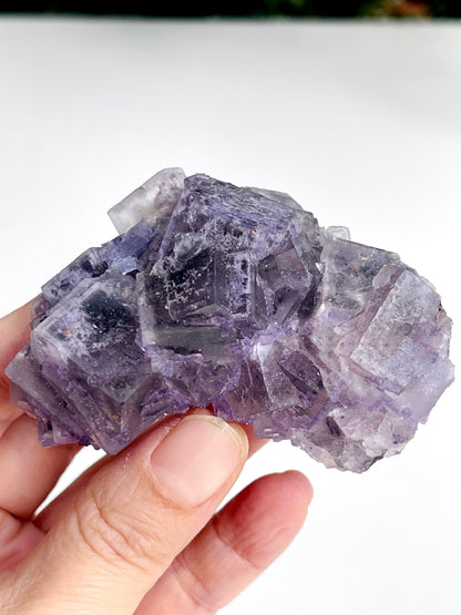 New Find Petroleum Fluorite