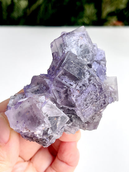 New Find Petroleum Fluorite