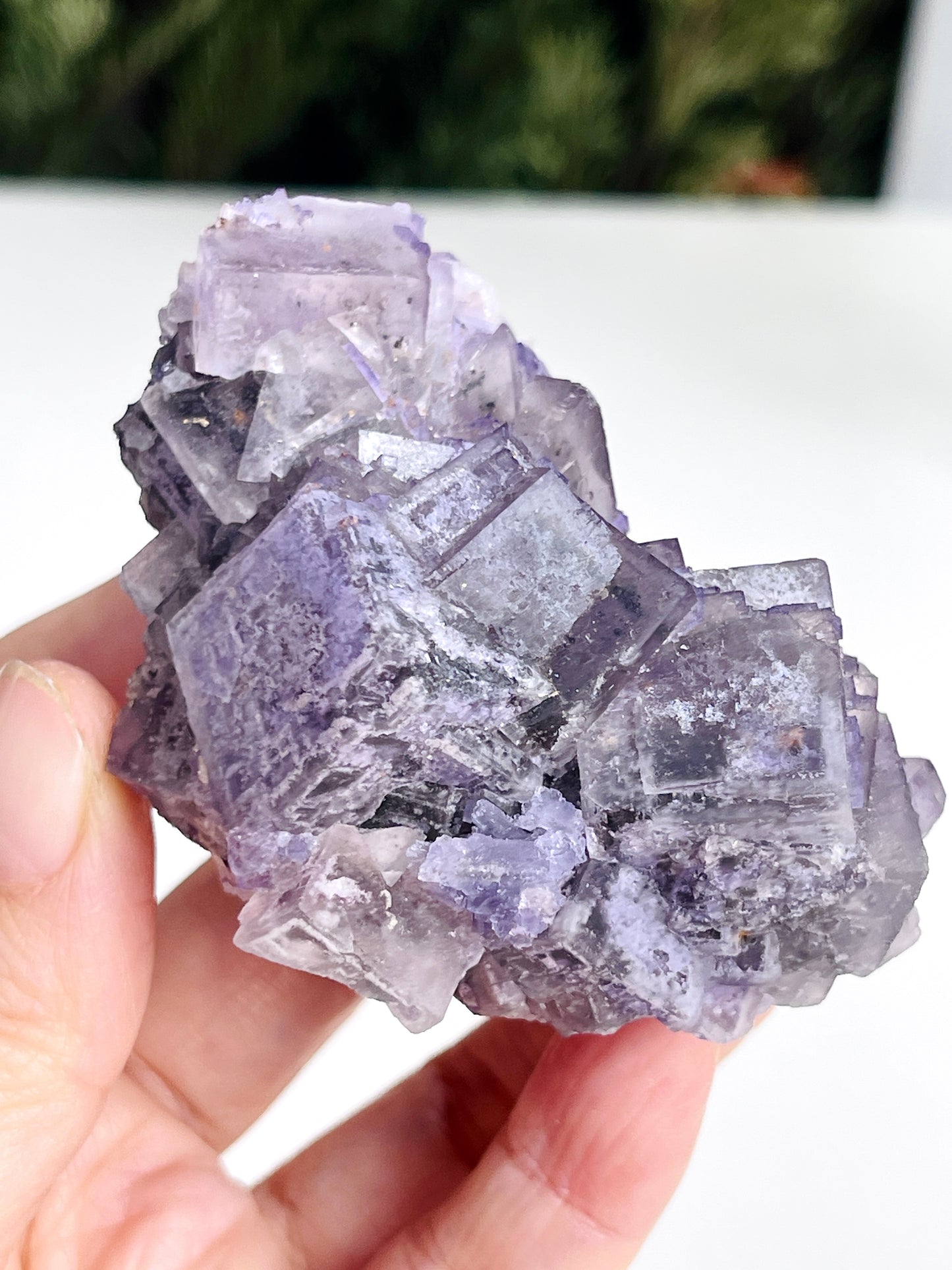 New Find Petroleum Fluorite