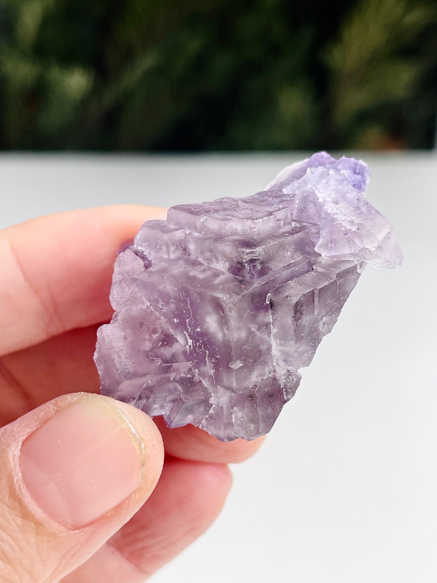 New Find Petroleum Fluorite -33g