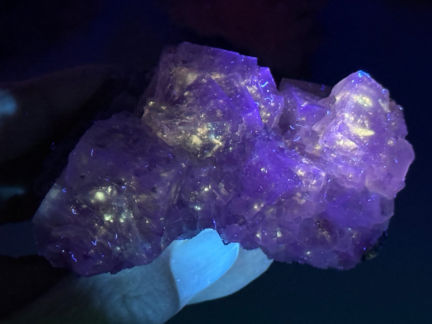 New Find Petroleum Fluorite