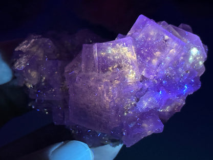 New Find Petroleum Fluorite