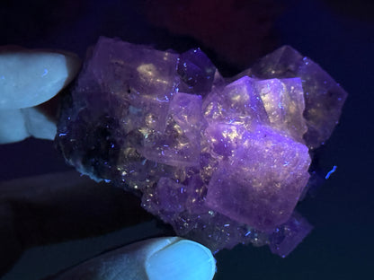 New Find Petroleum Fluorite