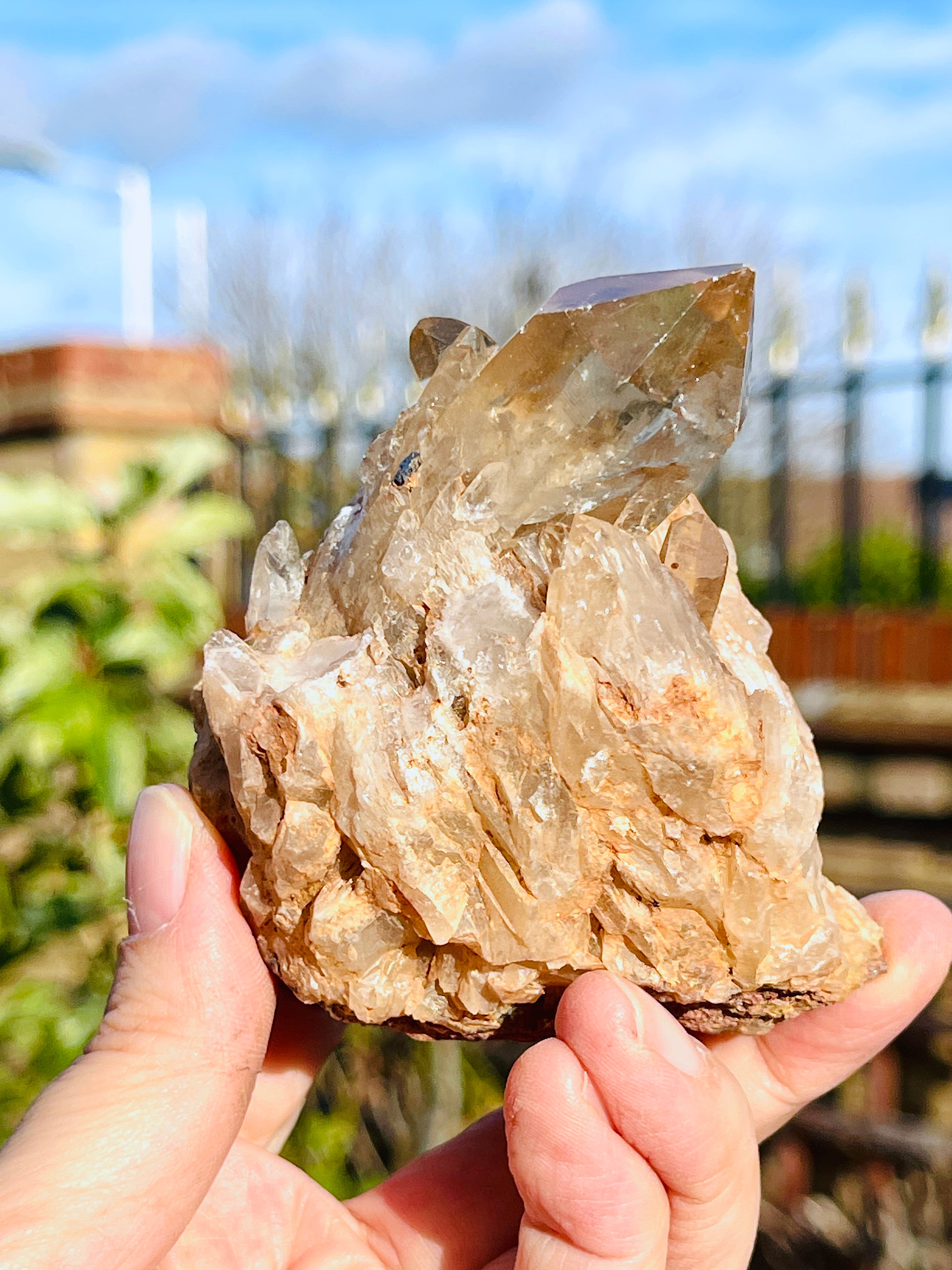 Kundalini Citrine Crystal, Natural Congo Citrine Cluster