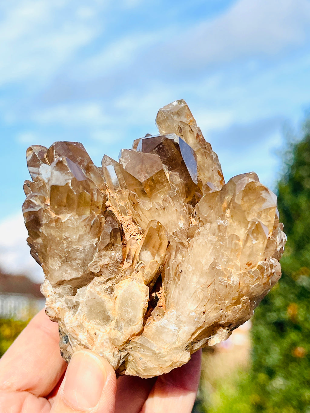Kundalini Citrine Crystal, Natural Congo Citrine Cluster