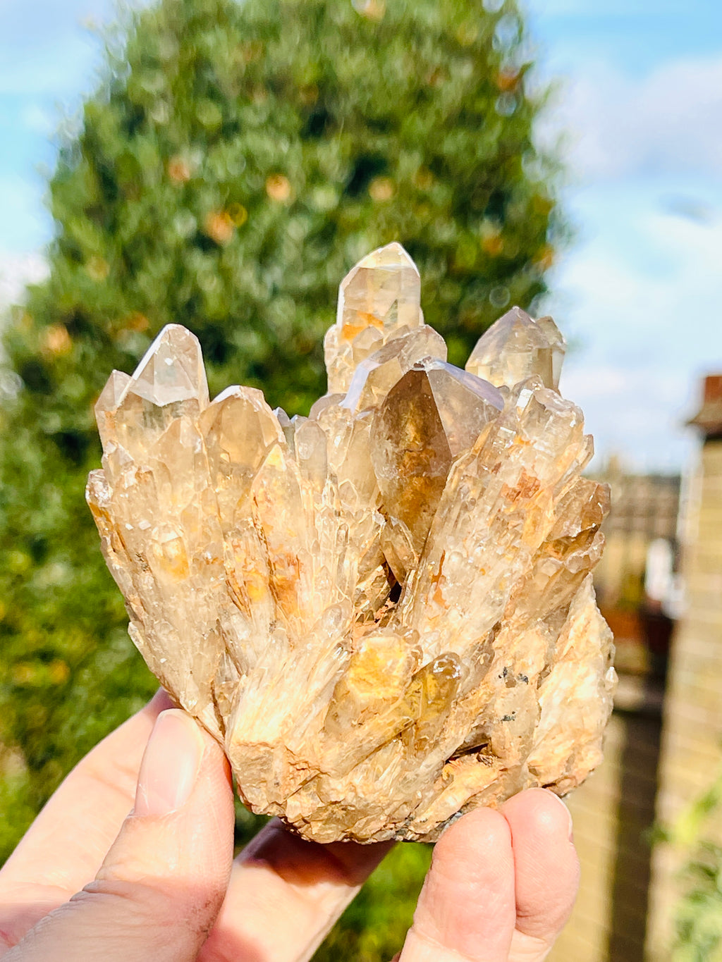Kundalini Citrine Crystal, Natural Congo Citrine Cluster
