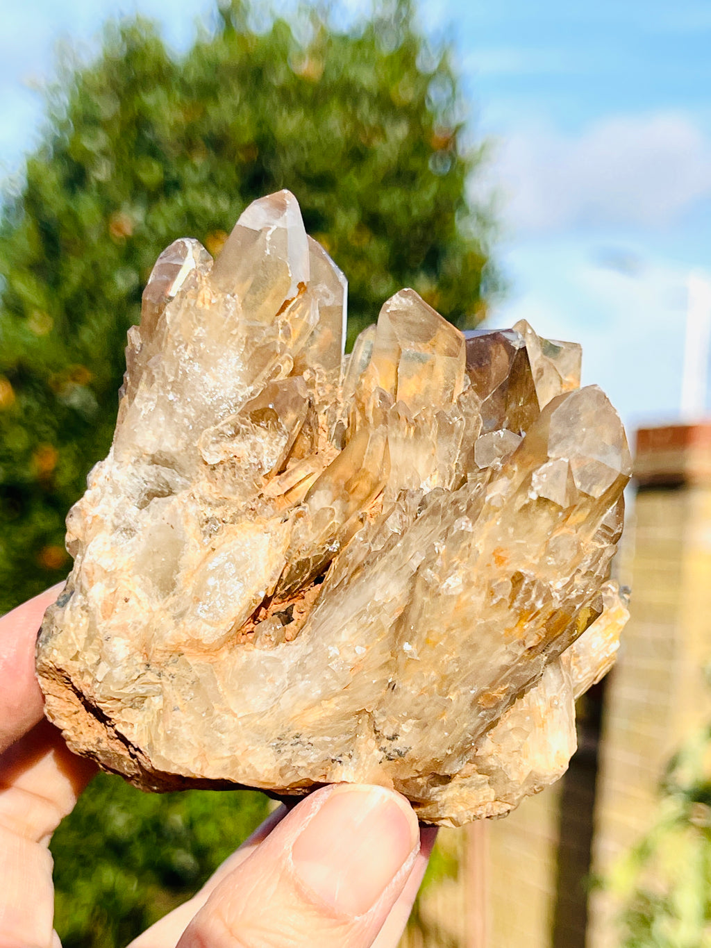 Kundalini Citrine Crystal, Natural Congo Citrine Cluster