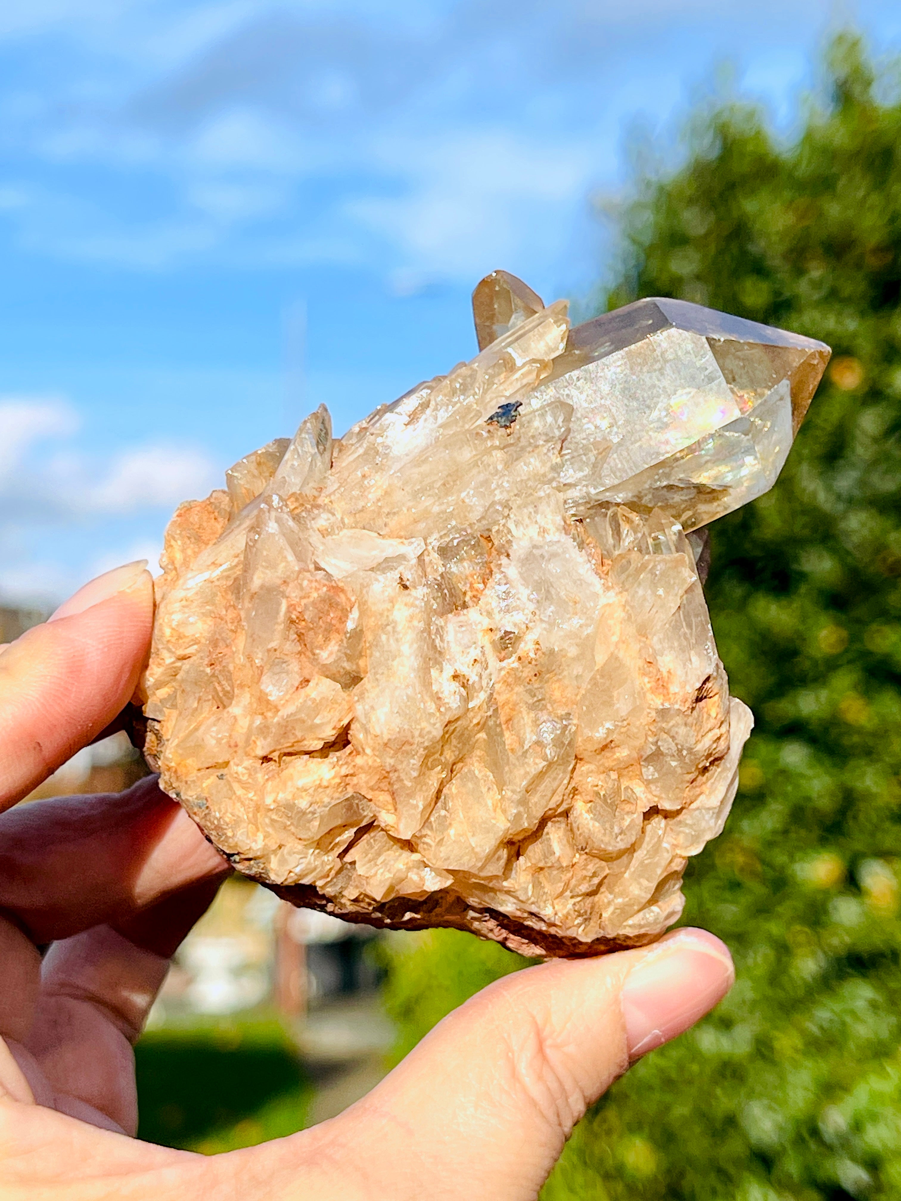 Kundalini Citrine Crystal, Natural Congo Citrine Cluster