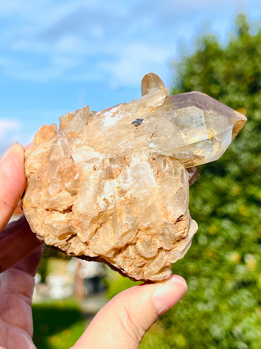 Kundalini Citrine Crystal, Natural Congo Citrine Cluster