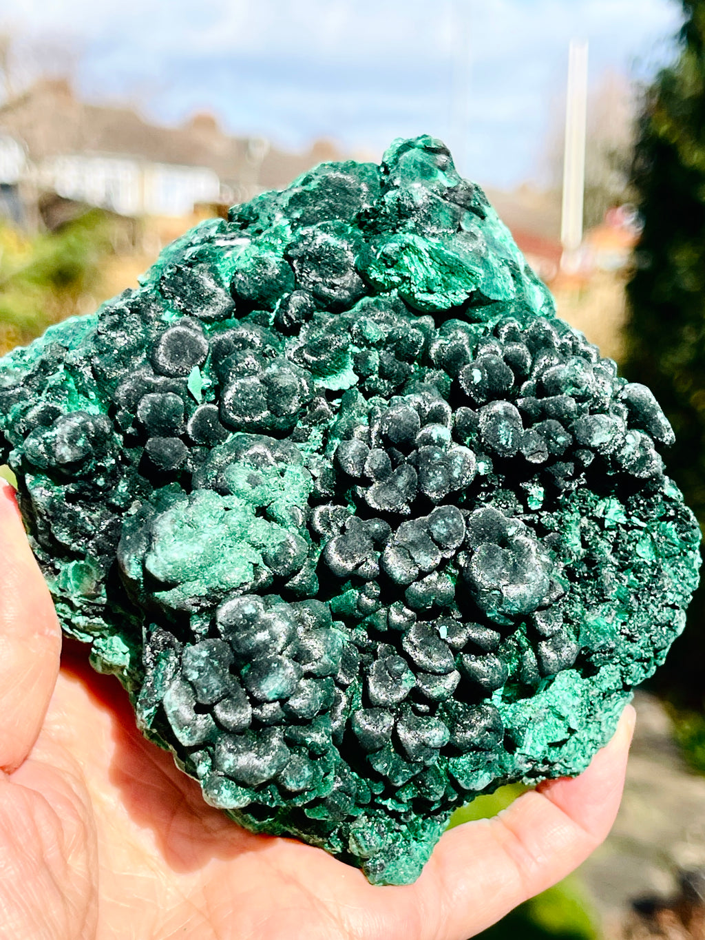 Malachite Specimen,  Botryoidal Malachite