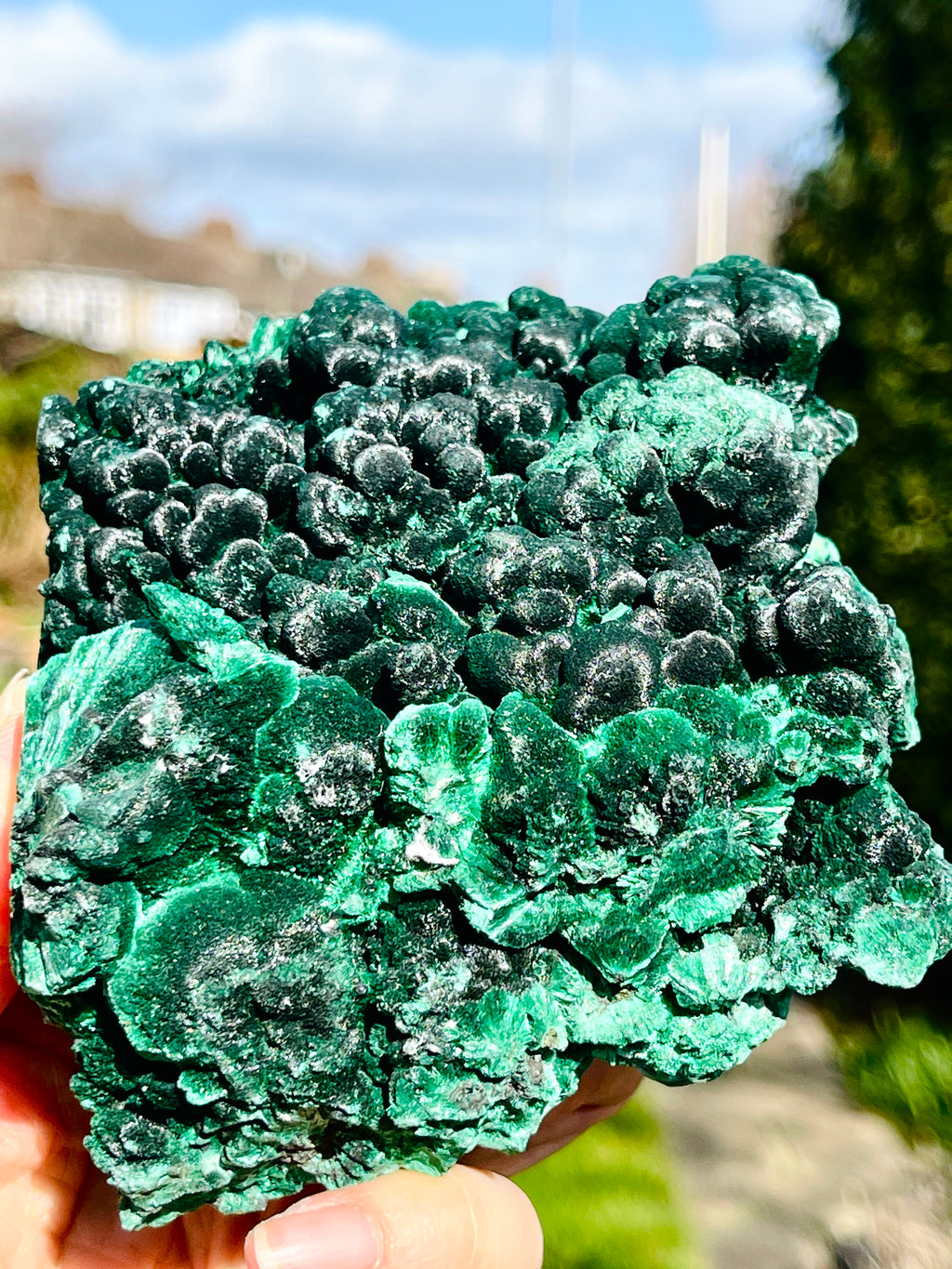 Malachite Specimen,  Botryoidal Malachite