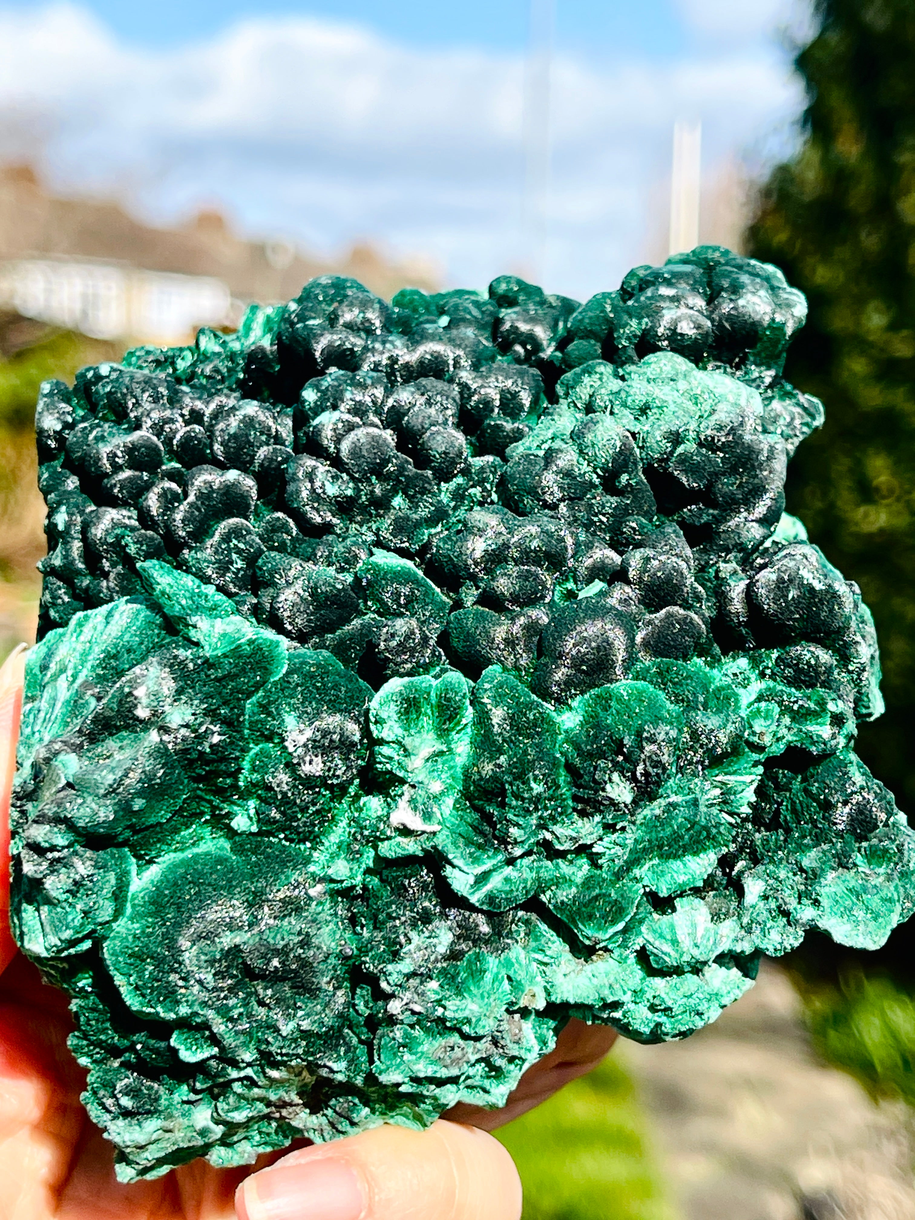 Malachite Specimen,  Botryoidal Malachite