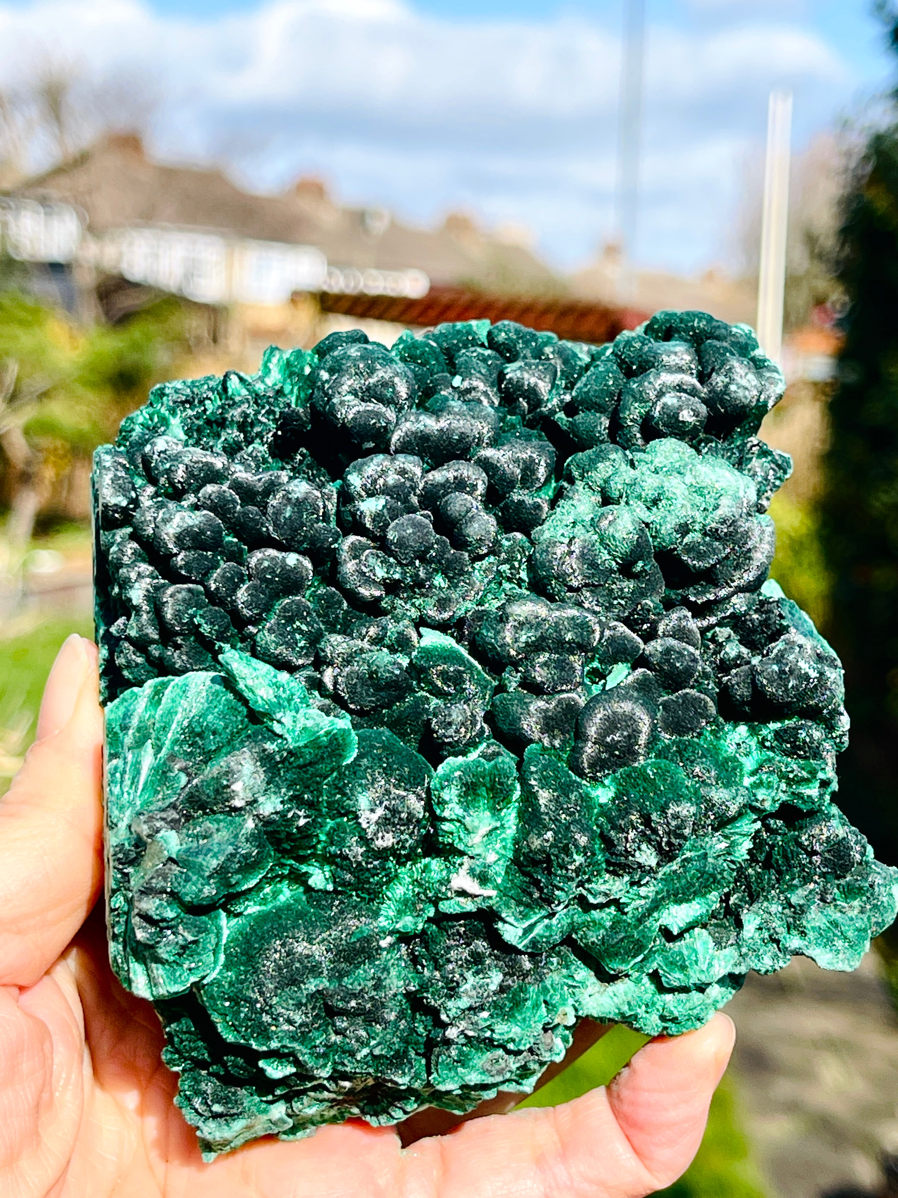 Malachite Specimen,  Botryoidal Malachite