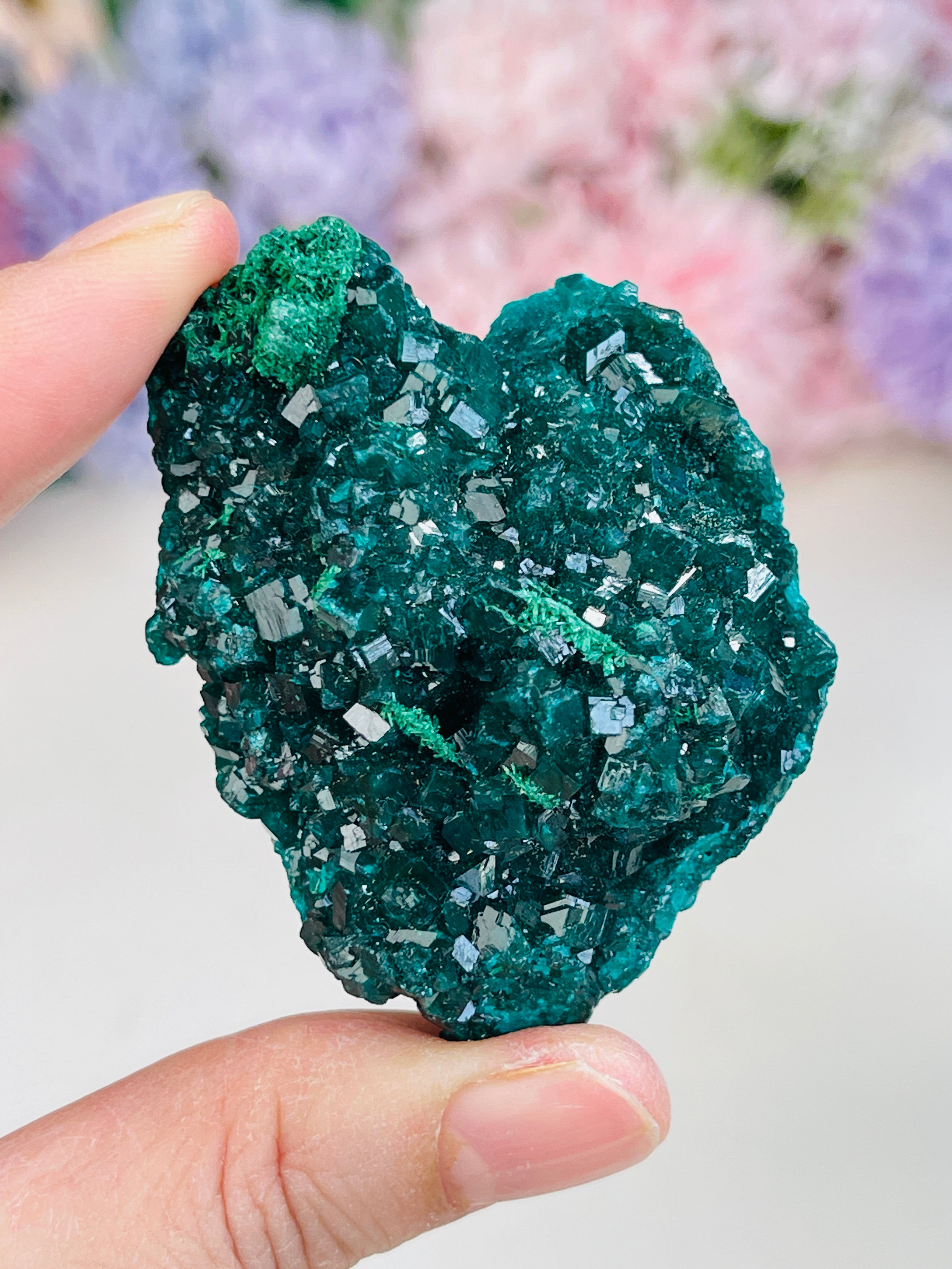 Green dioptase crystal rock held by a hand with a blurred floral background