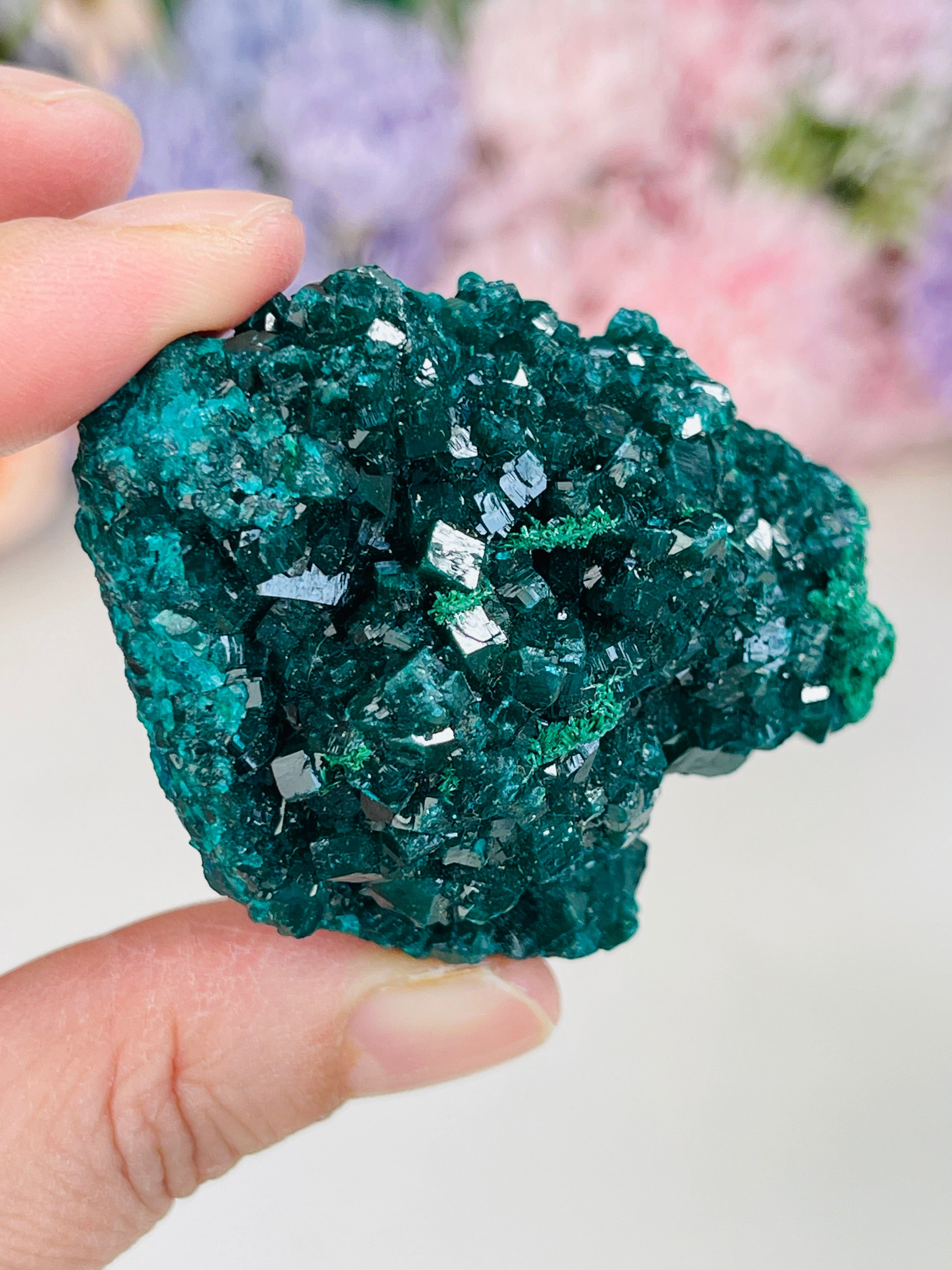 Natural Dioptase Specimen | Vivid Emerald-Green Crystal | Mfouati, Congo