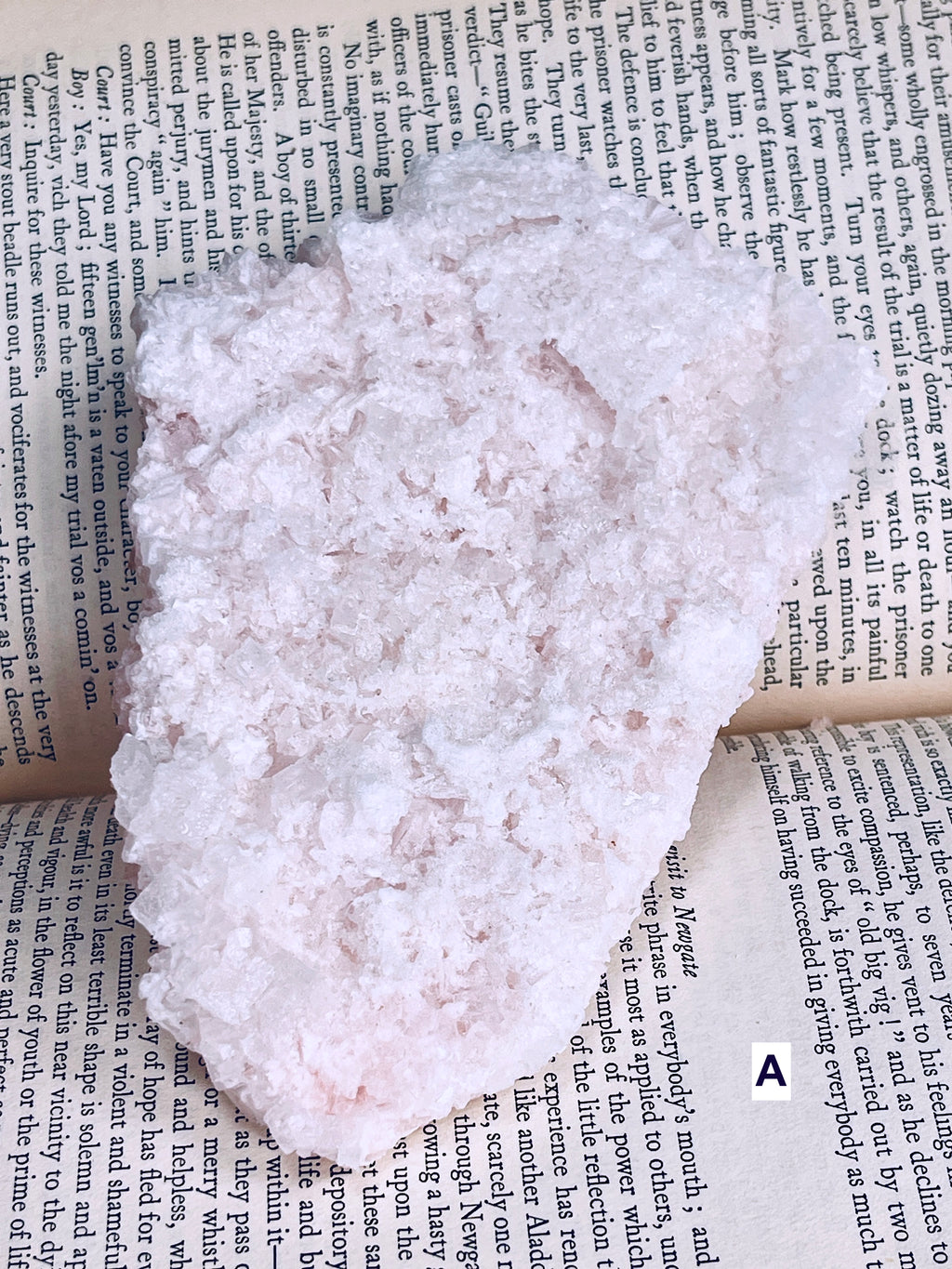 A rough, irregularly shaped pale pink crystal or mineral specimen resting on top of printed book pages. The crystal has a porous, textured surface with subtle pinkish tones.