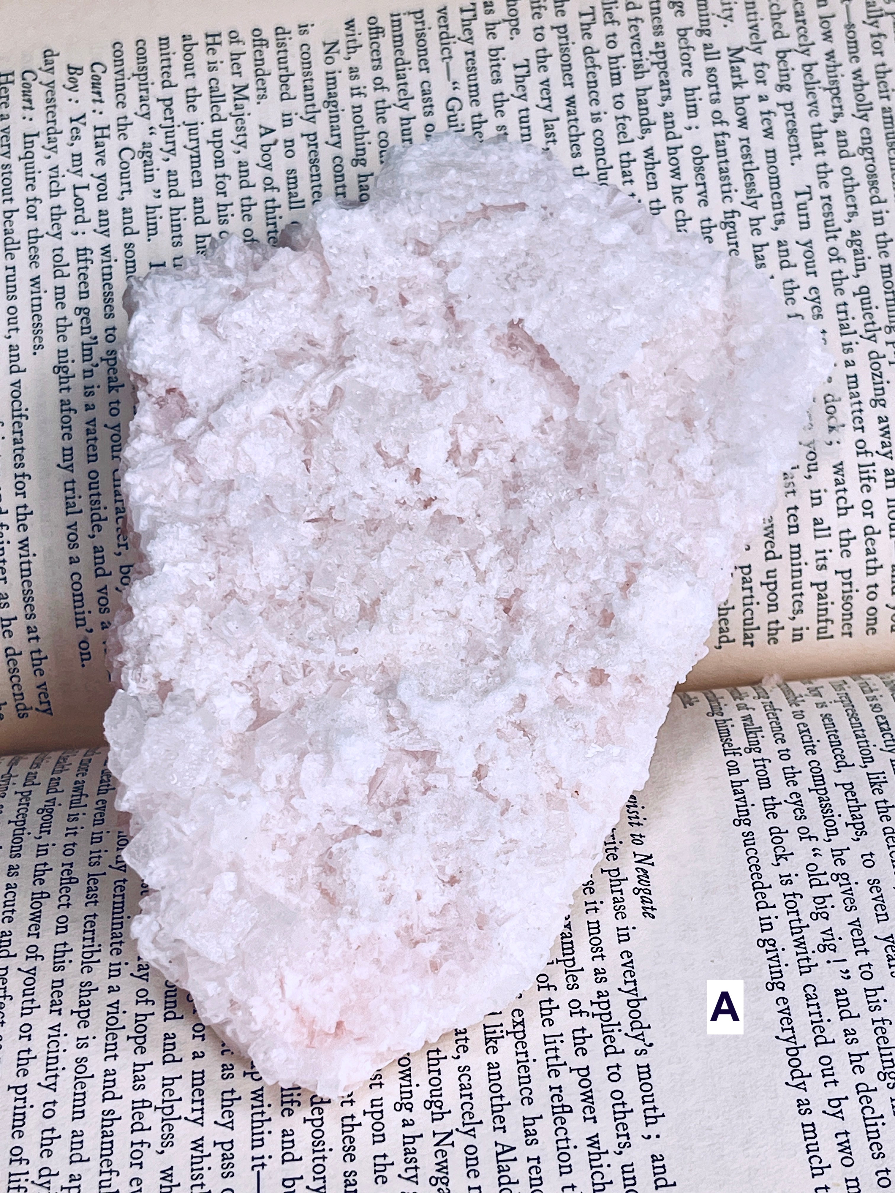 A rough, irregularly shaped pale pink crystal or mineral specimen resting on top of printed book pages. The crystal has a porous, textured surface with subtle pinkish tones.