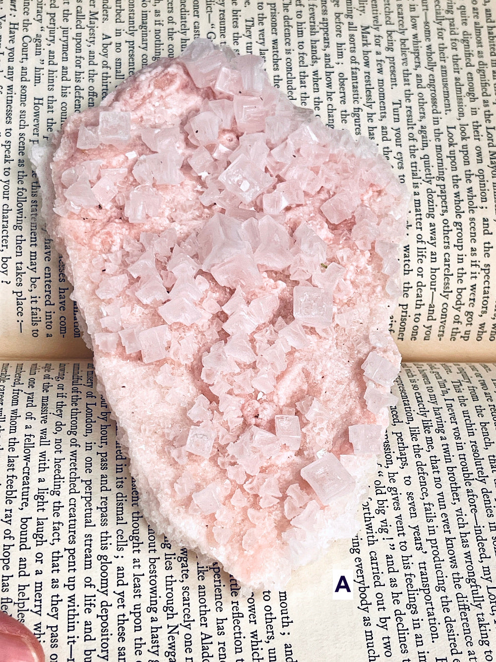 A pale pink halite crystal cluster or raw gemstone with rough cuboid facets, photographed from above on top of printed book pages.