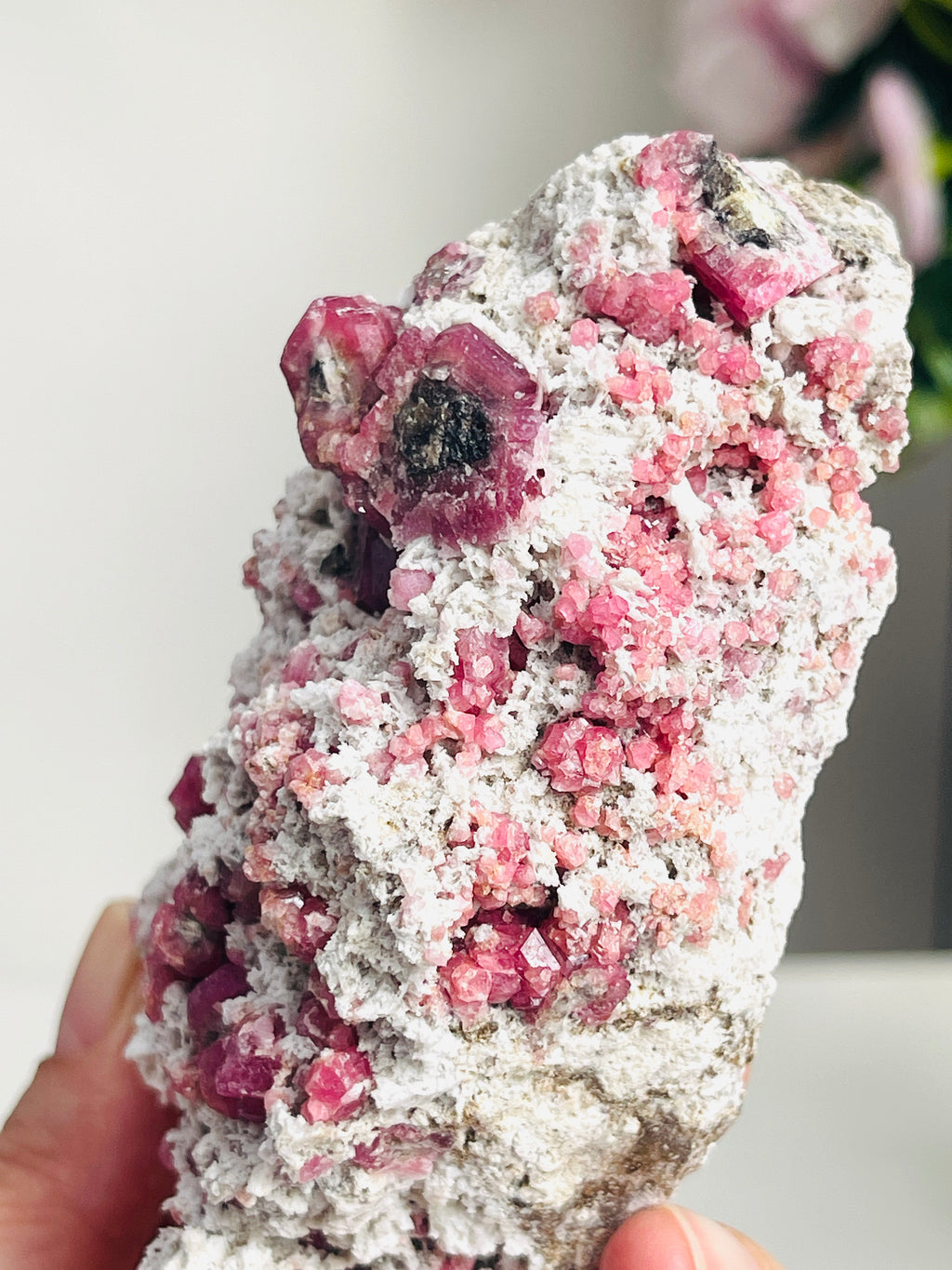 Rare Raspberry Pink Garnet Specimen | Closed Mine | Coahuila, Mexico (277g)