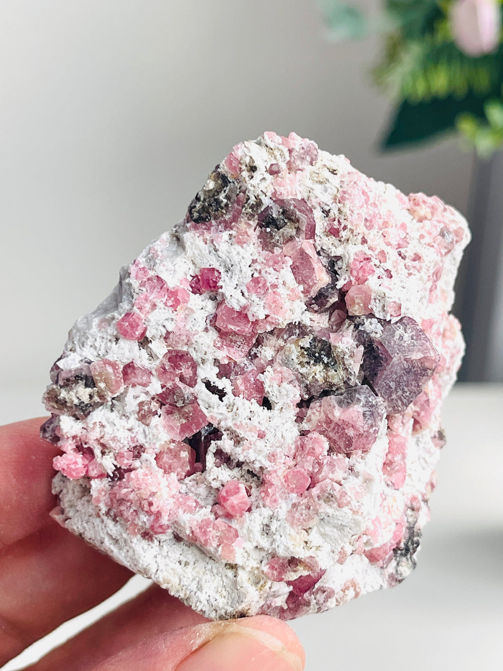 New Find !! Grossular Garnet, Rare Raspberry Pink Garnet Mineral Specimen ~ Coahuila, Mexico - 11