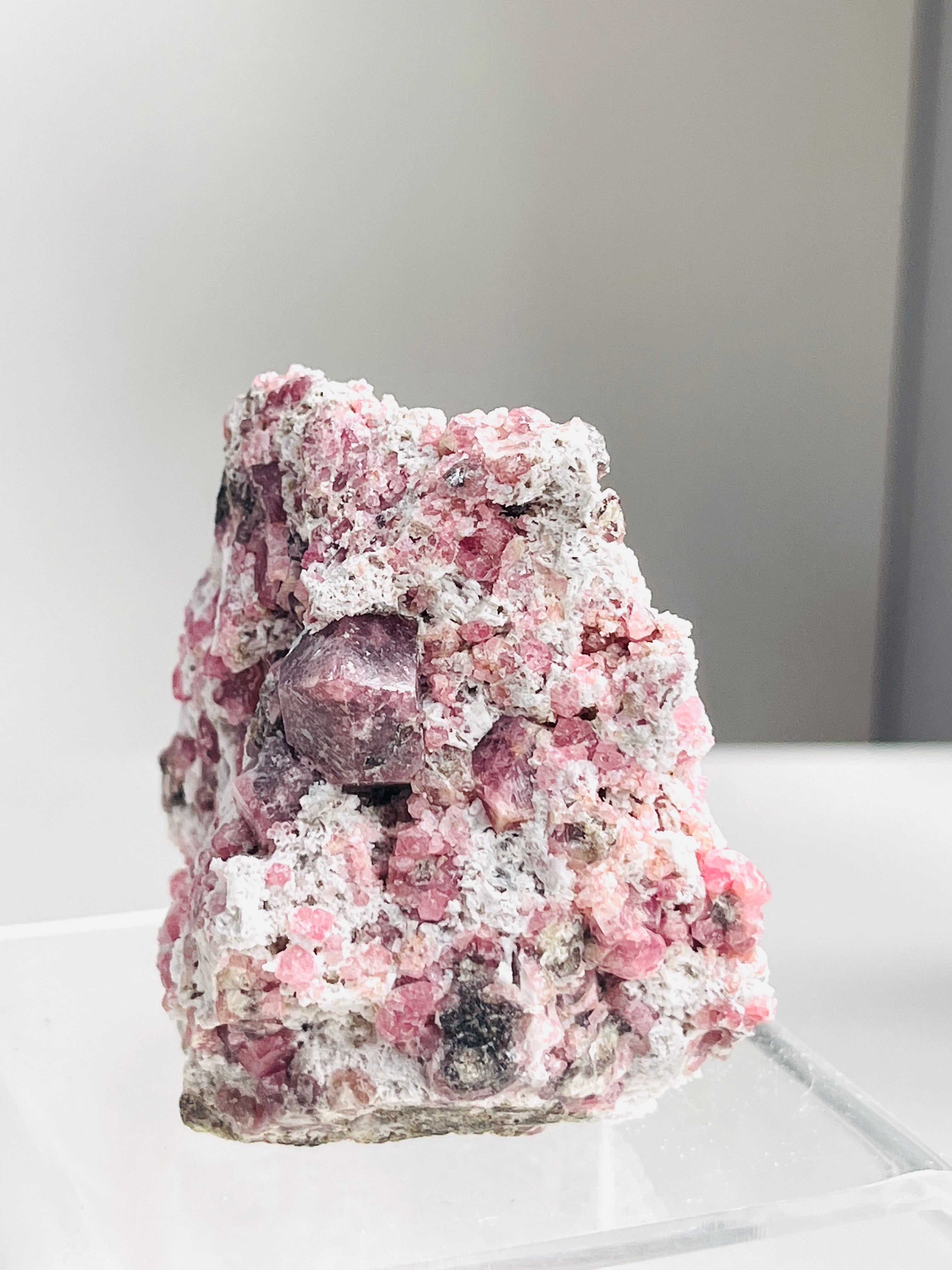 New Find !! Grossular Garnet, Rare Raspberry Pink Garnet Mineral Specimen ~ Coahuila, Mexico - 11