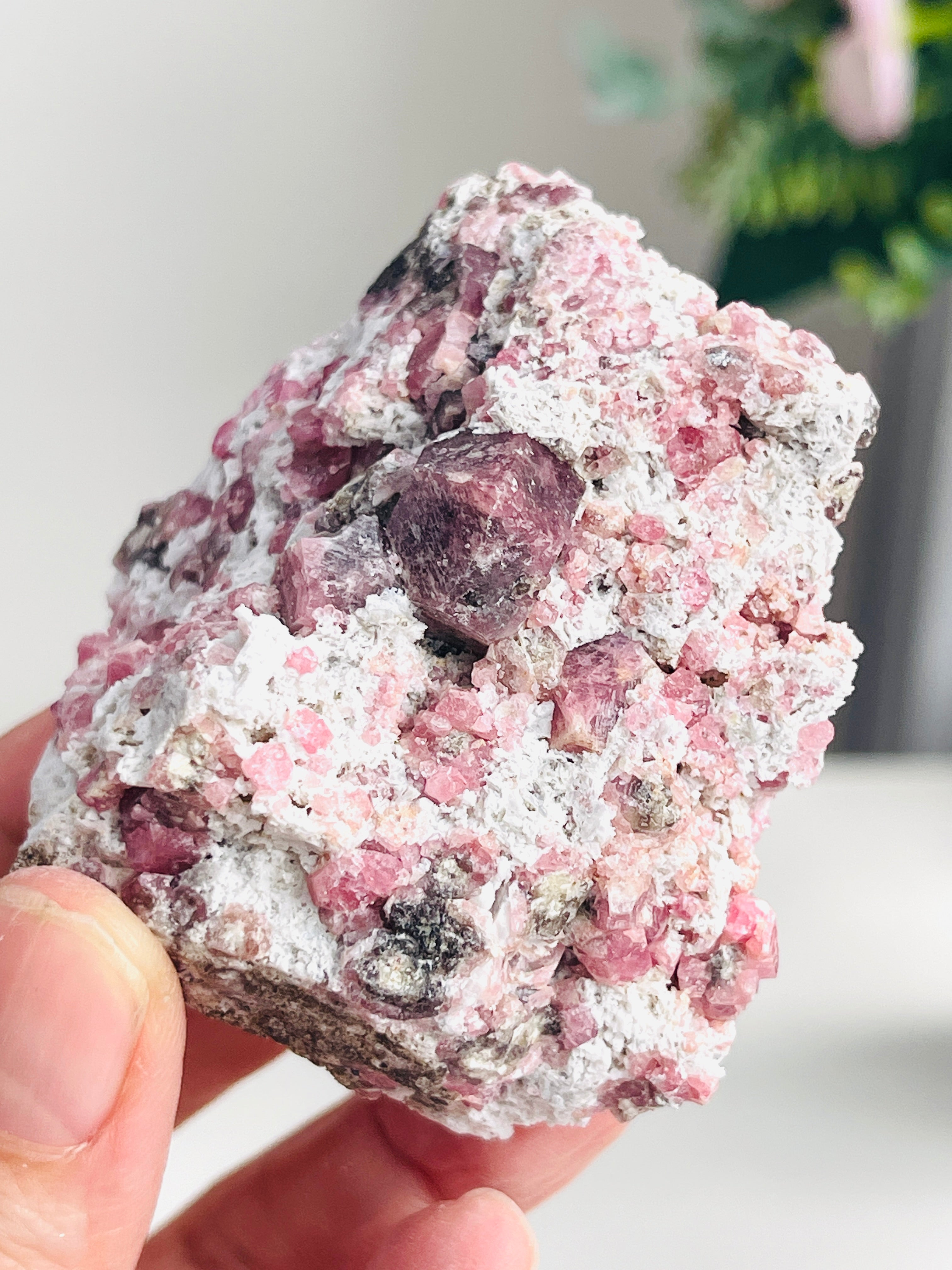 New Find !! Grossular Garnet, Rare Raspberry Pink Garnet Mineral Specimen ~ Coahuila, Mexico - 11