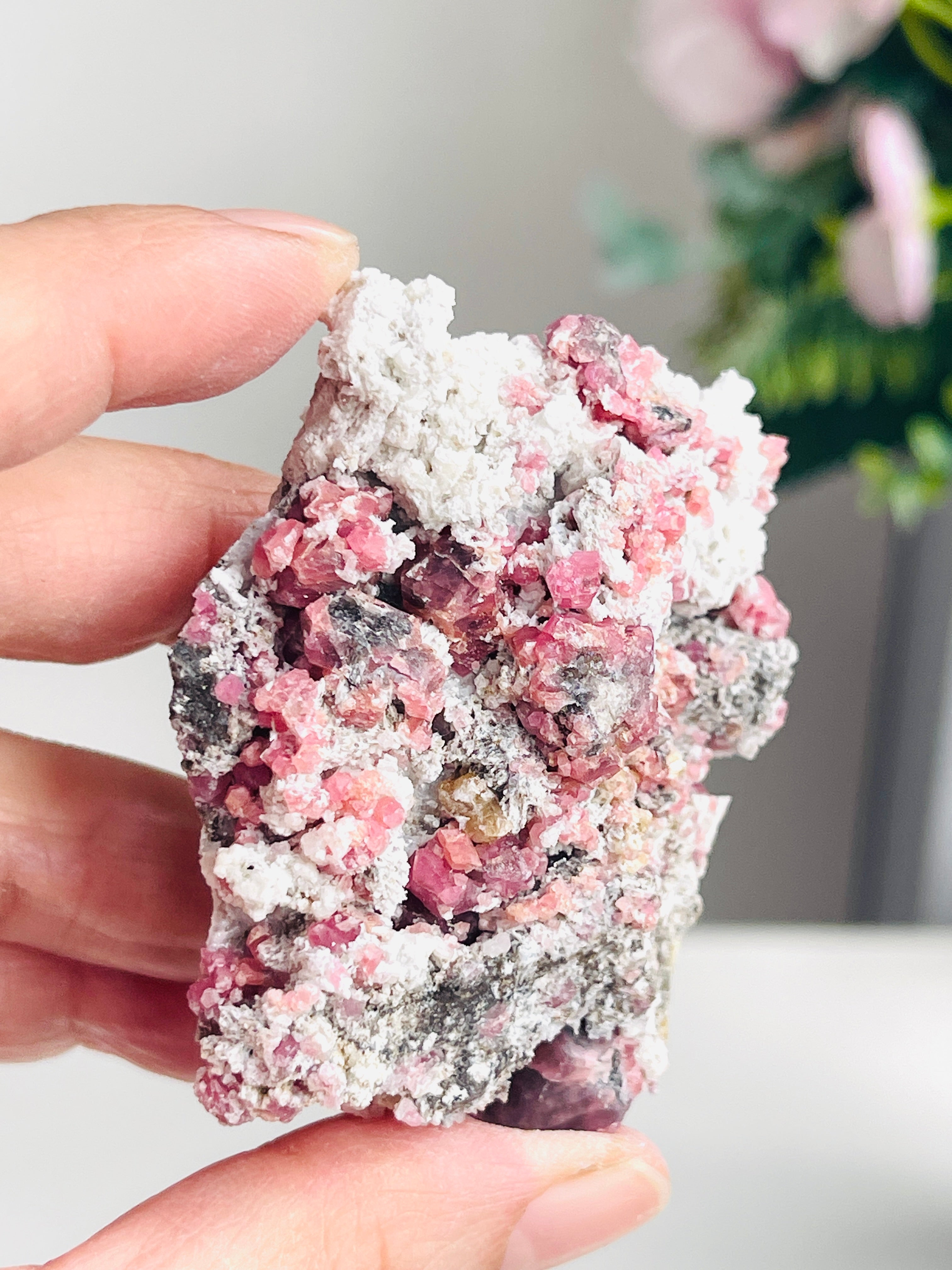 Grossular Garnet, Rare Raspberry Pink Garnet Mineral Specimen ~ 12