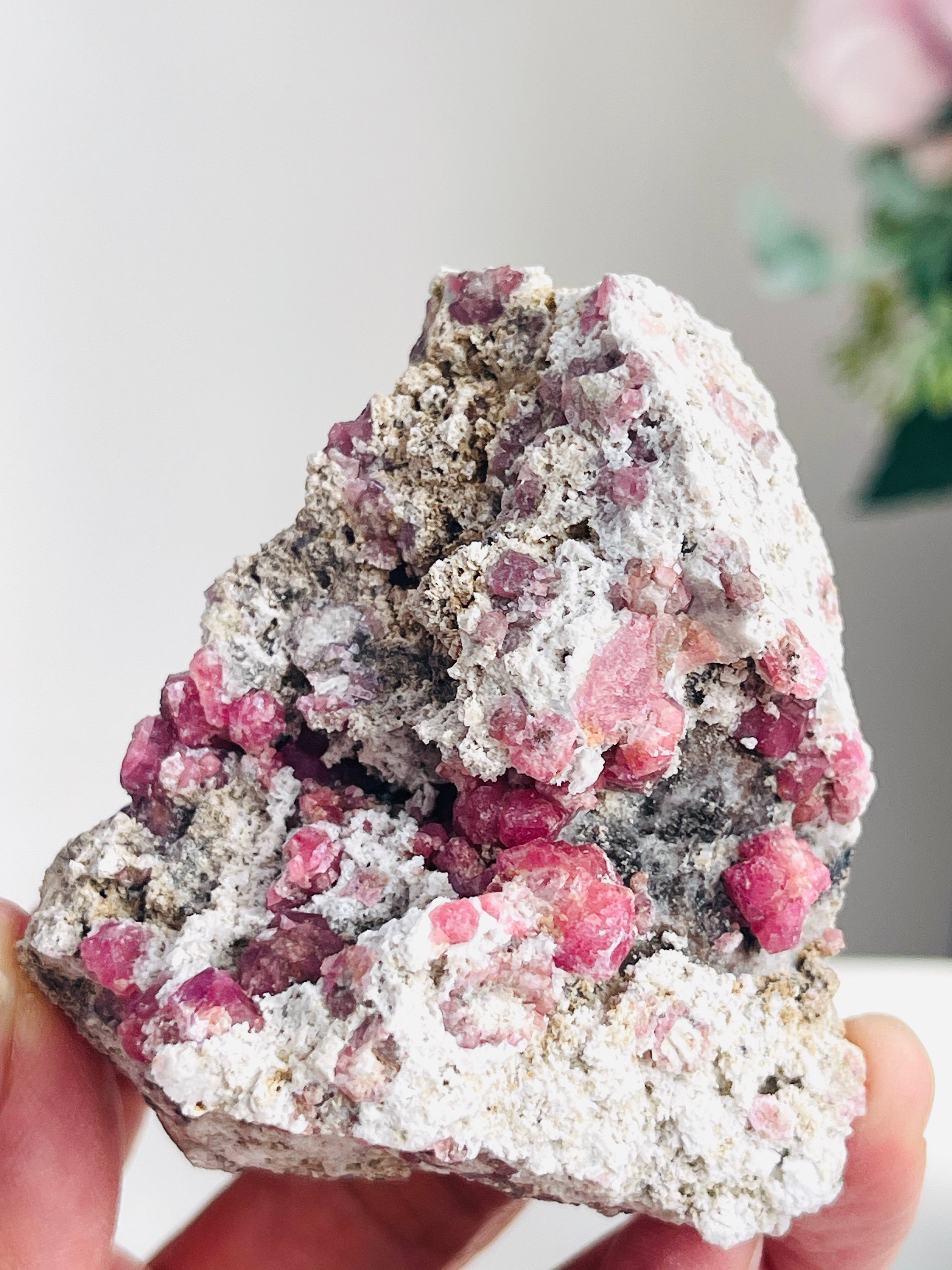 Rare Mexican Raspberry Garnet Mineral specimen with pink crystals held in hand against a neutral background