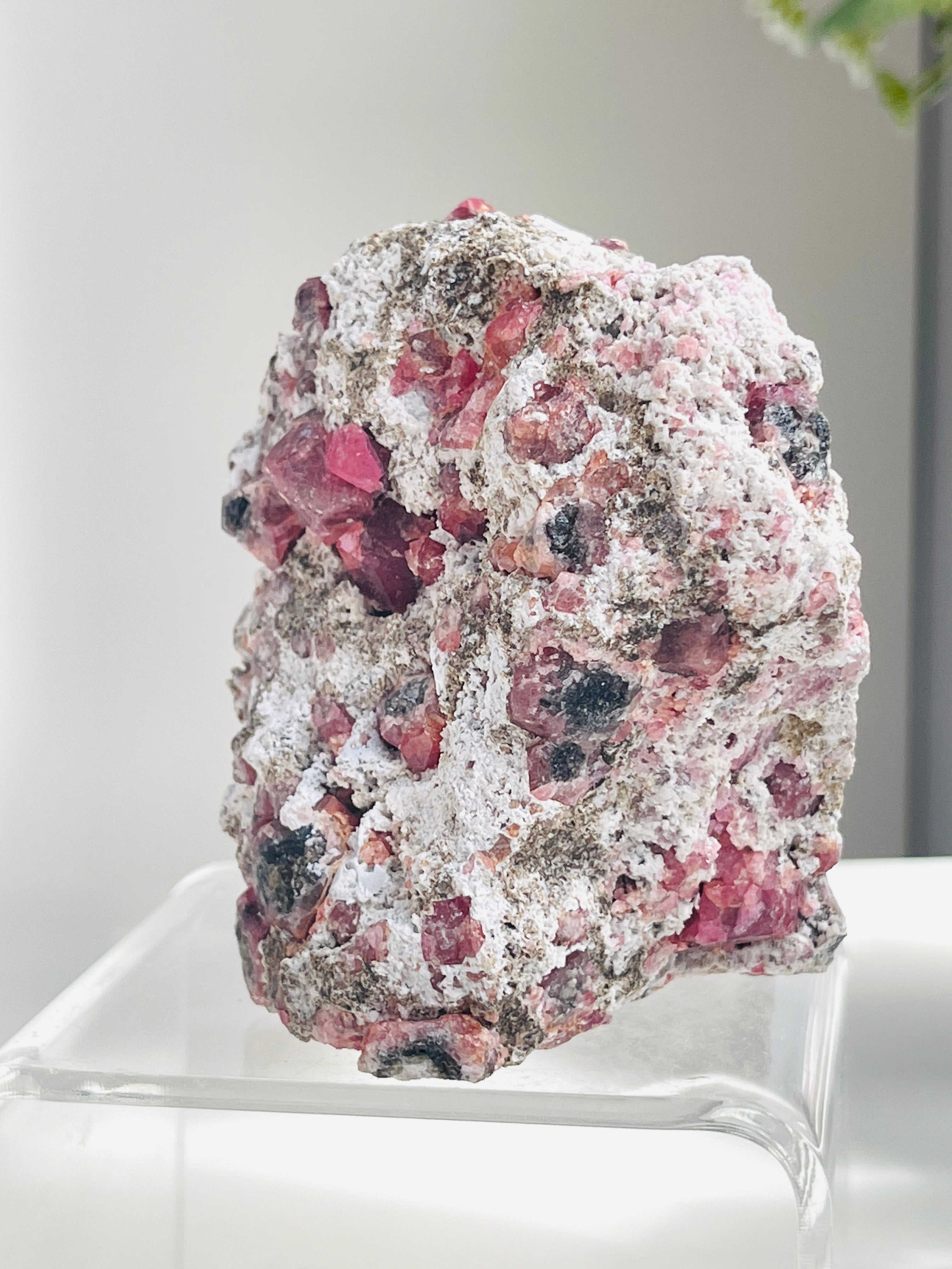 Rare Grossular Raspberry Pink Garnet Specimen | Closed Mine | Coahuila, Mexico