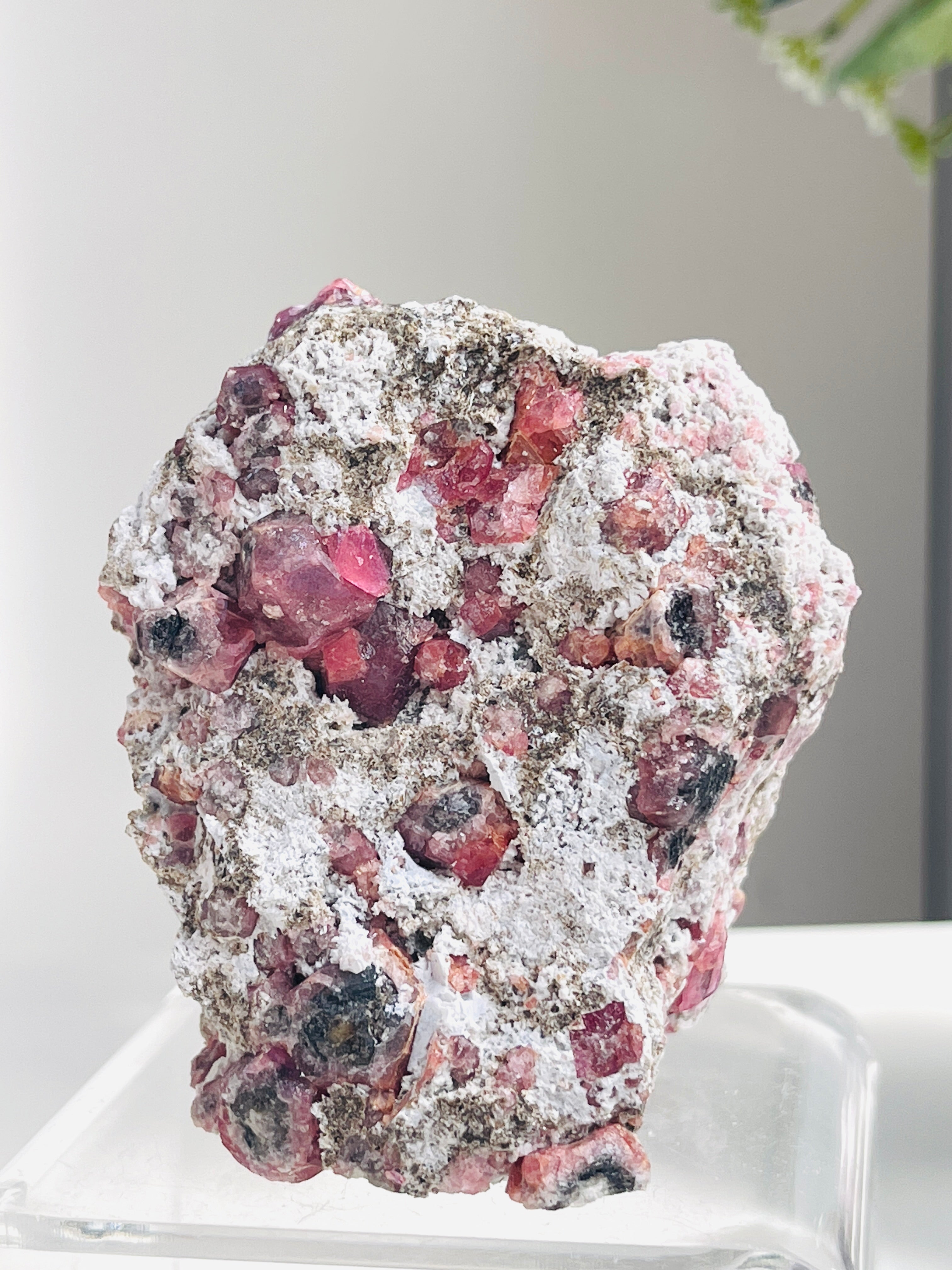 Raspberry Garnet Mineral sample with pink and purple crystals on a white platform