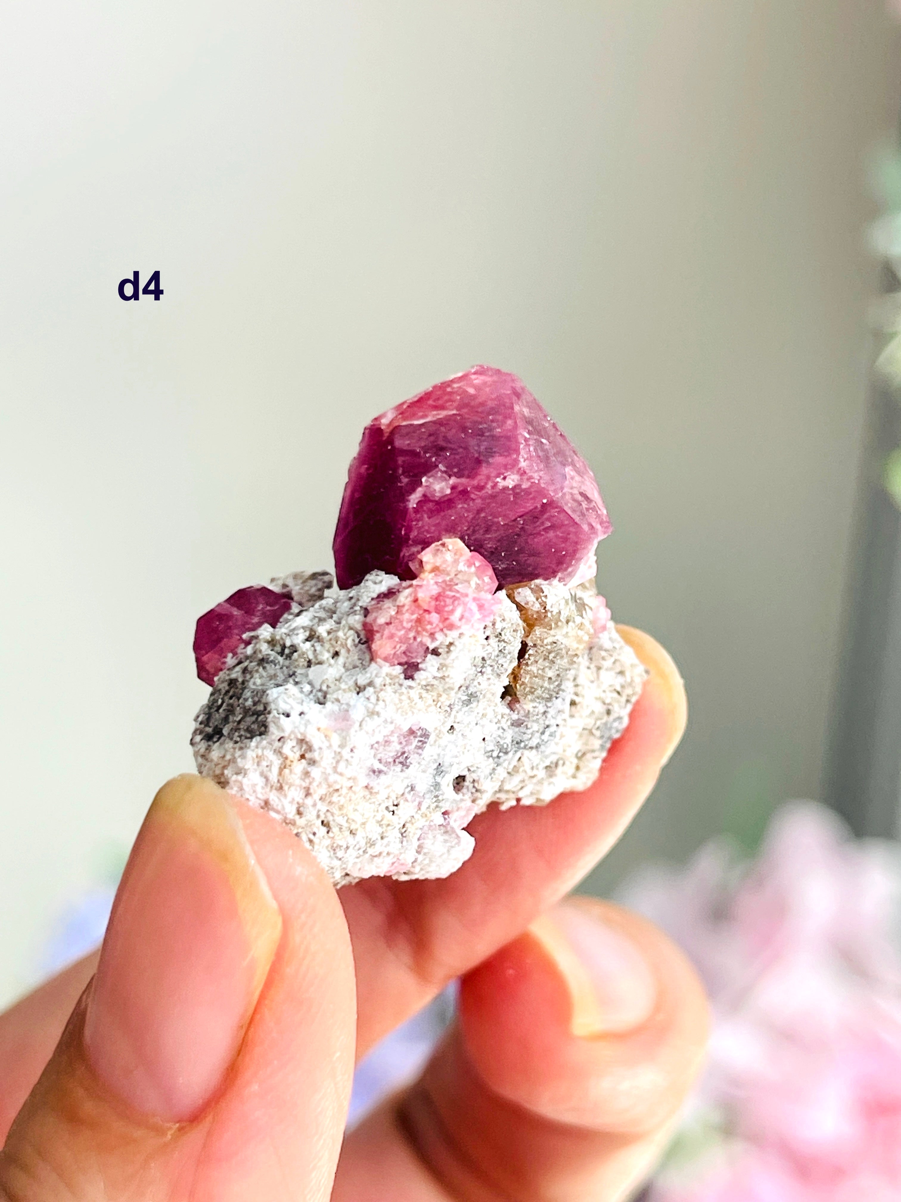 Raspberry Pink Grossular Garnet Specimen – Sierra de las Cruces, Coahuila, Mexico | Choose Your Piece