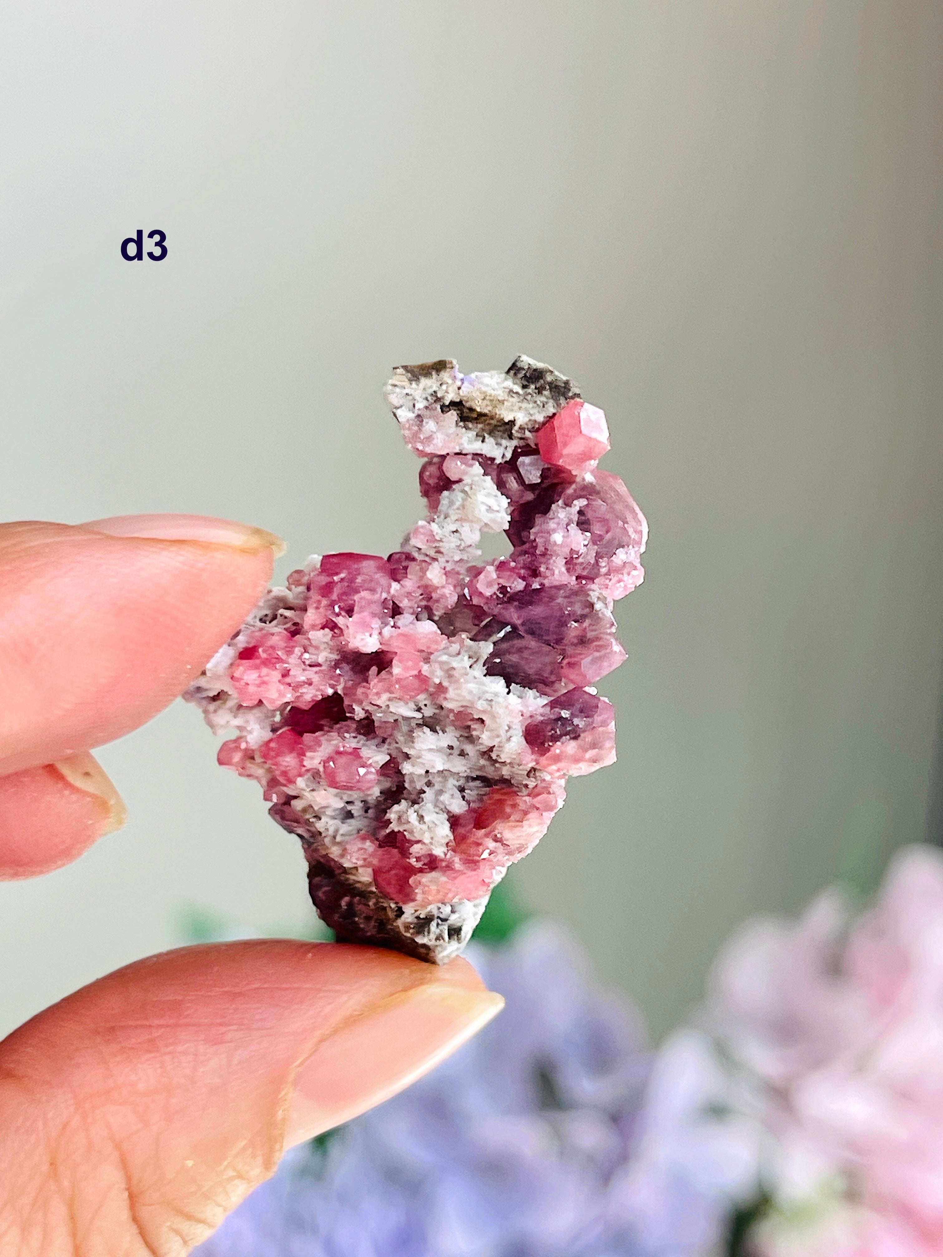 Raspberry Pink Grossular Garnet Specimen – Sierra de las Cruces, Coahuila, Mexico | Choose Your Piece